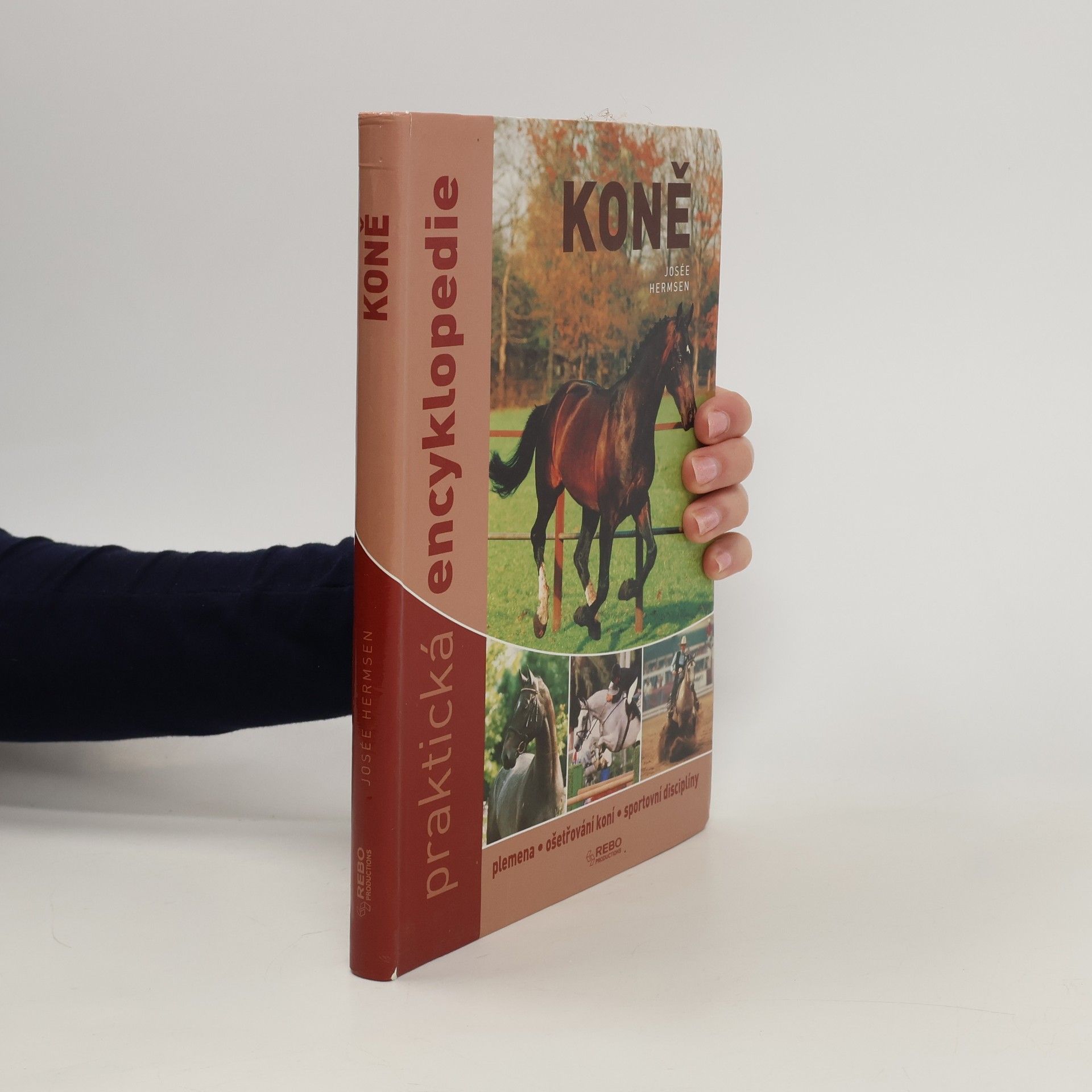 Josée Hermsen Koně. Praktická encyklopedie