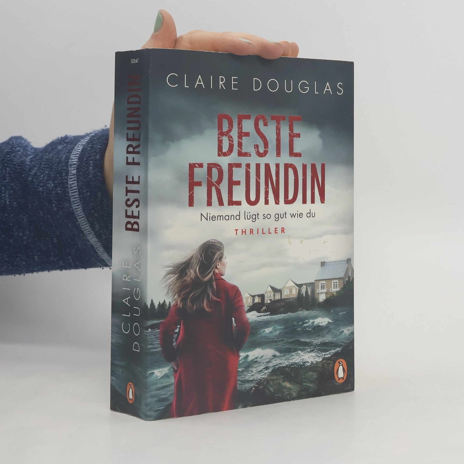 Claire Douglas Beste Freundin - niemand lügt so gut wie du