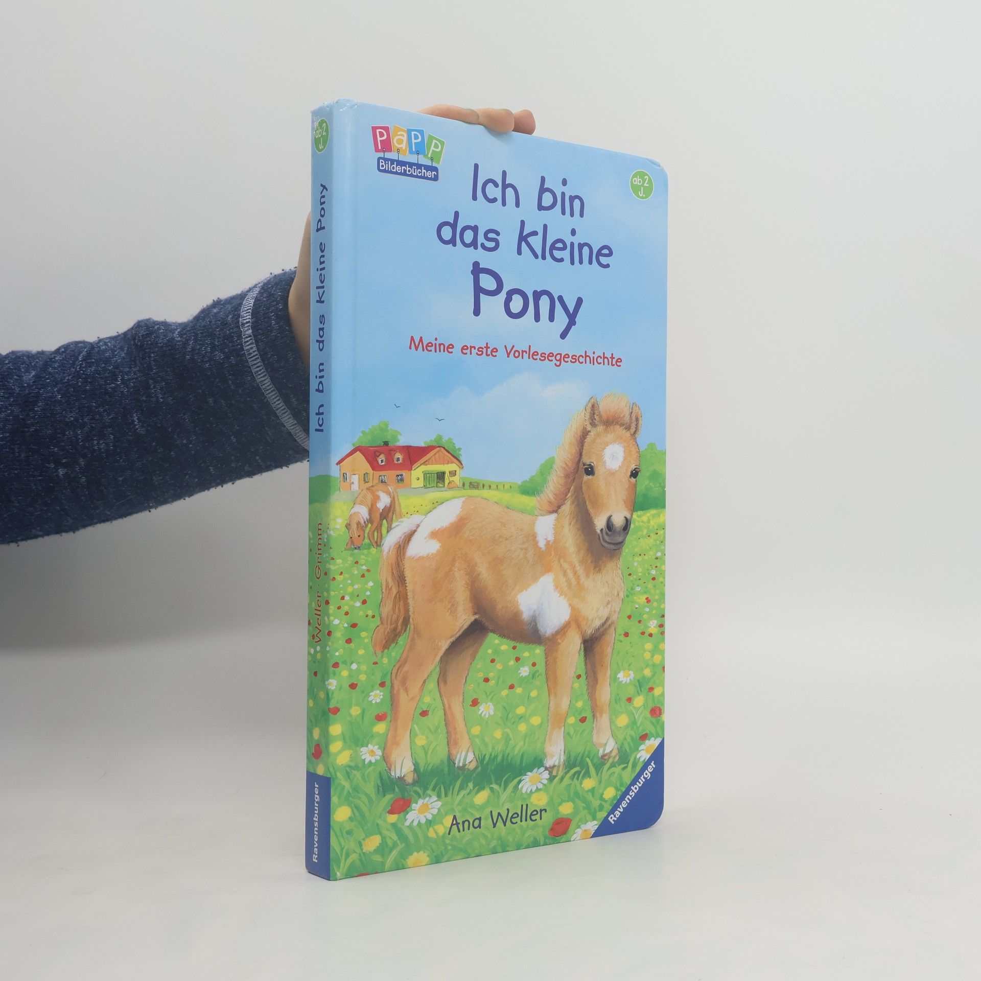 Ana Weller Ich bin das kleine Pony
