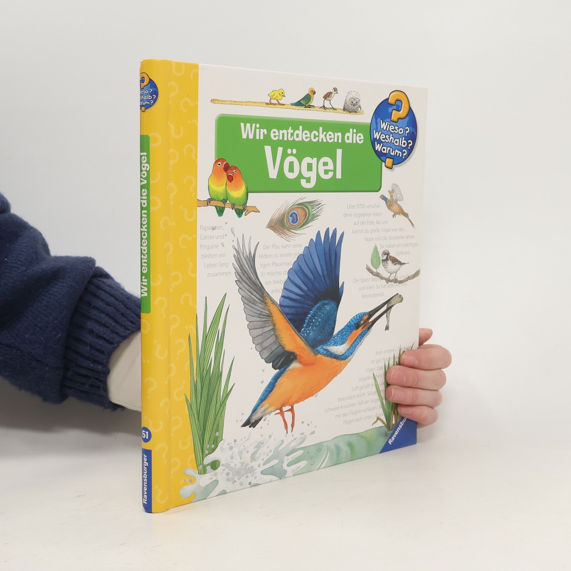 Anne Ebert Wir entdecken die Vögel