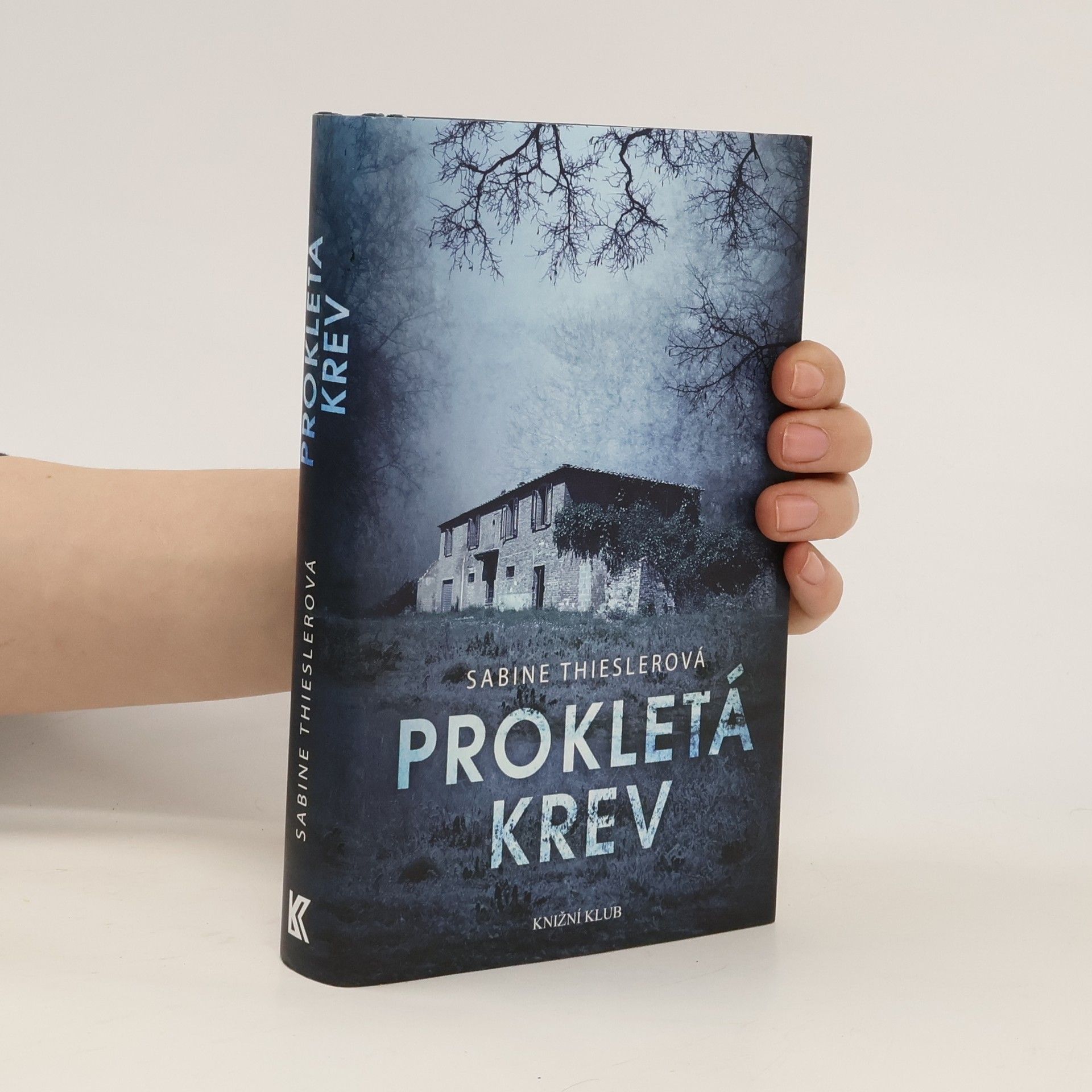 Sabine Thiesler Prokletá krev