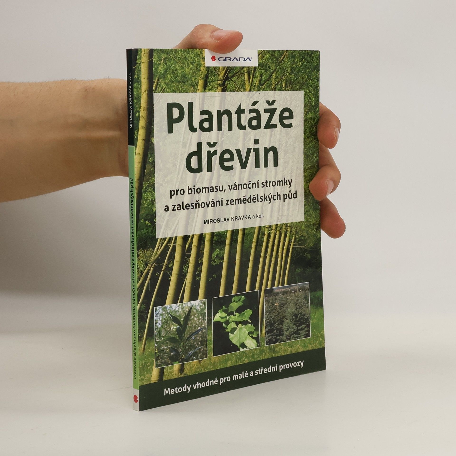 Miroslav Kravka Plantáže dřevin
