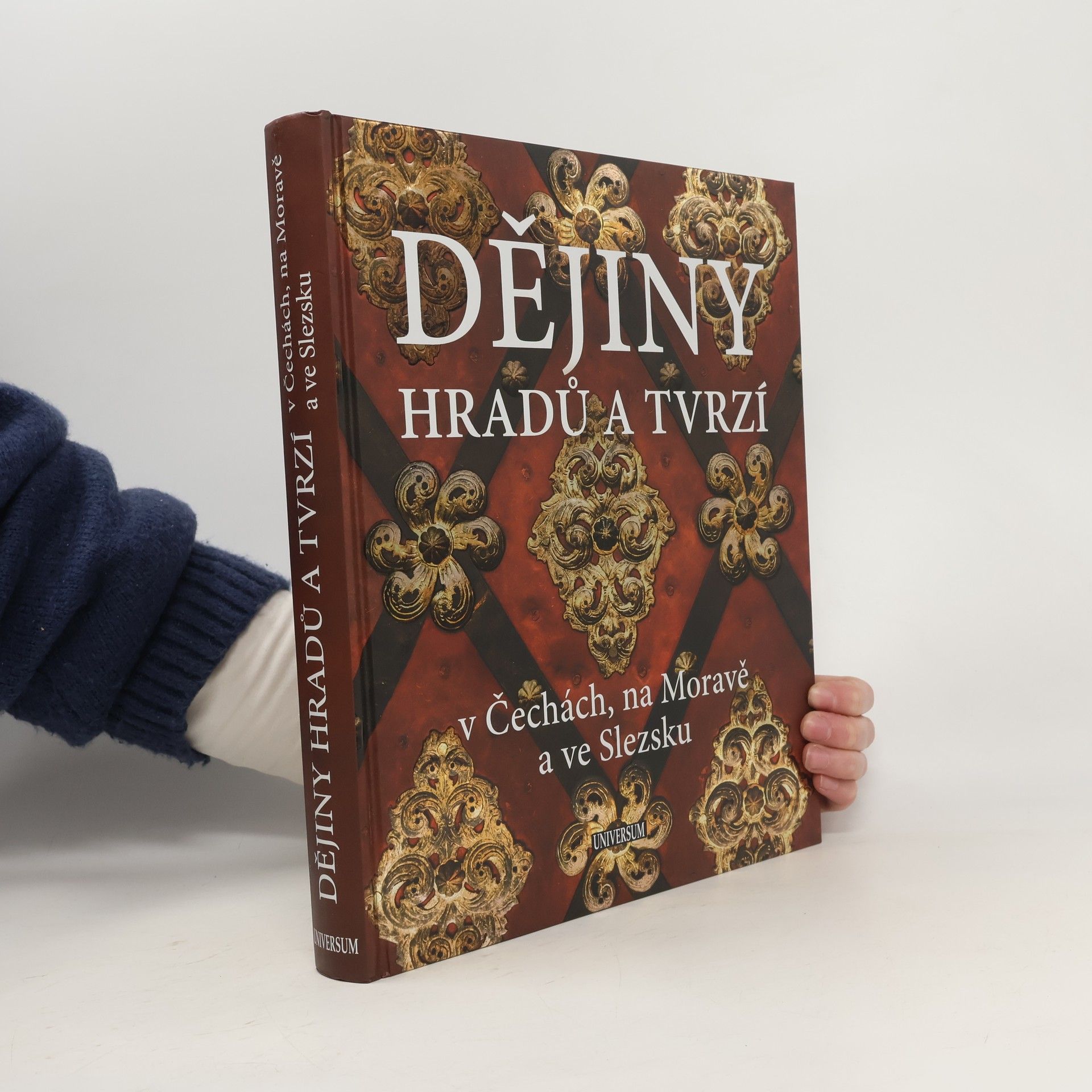 Peter David Dějiny hradů a tvrzí v Čechách, na Moravě a ve Slezsku