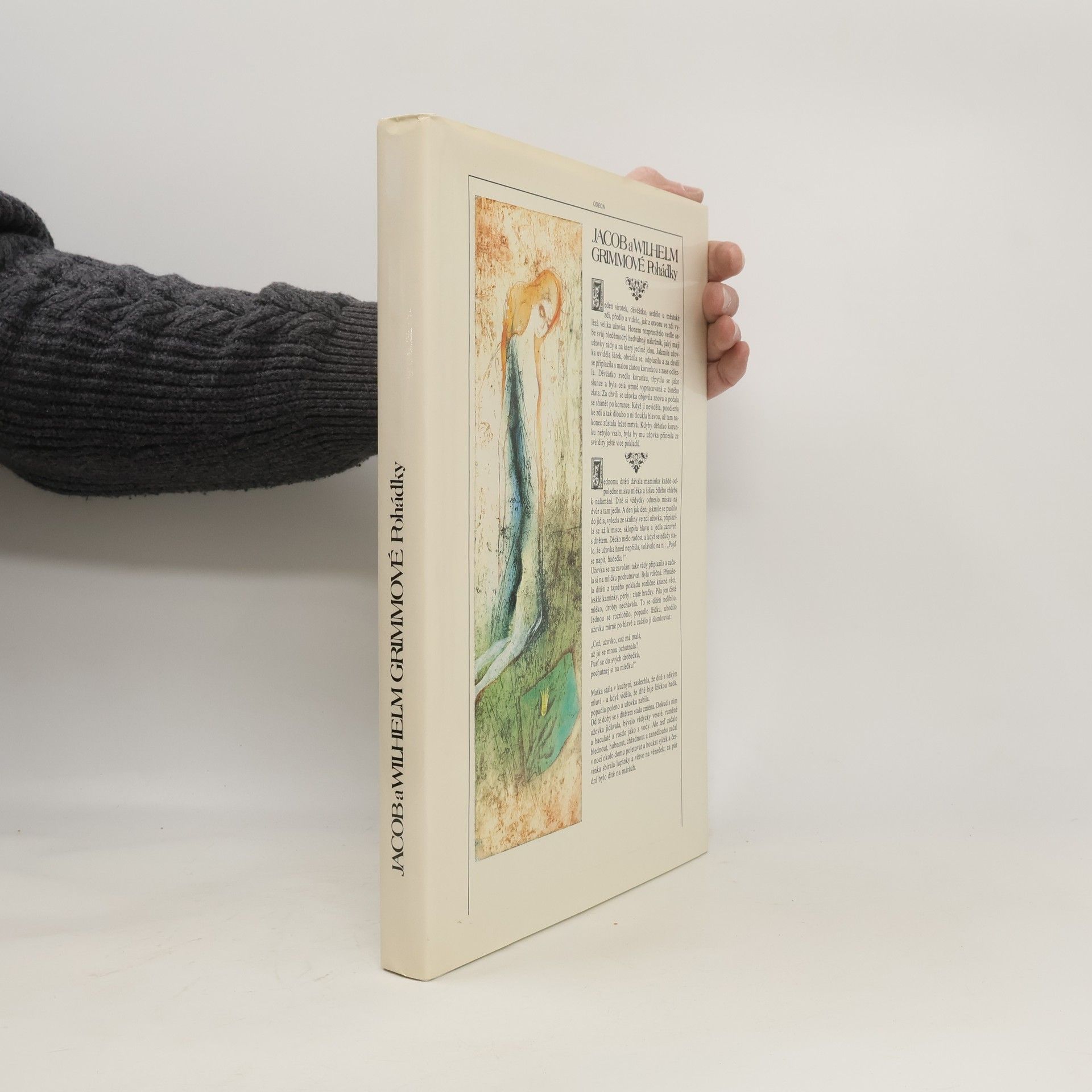 Jacob Ludwig Karl Grimm Pohádky