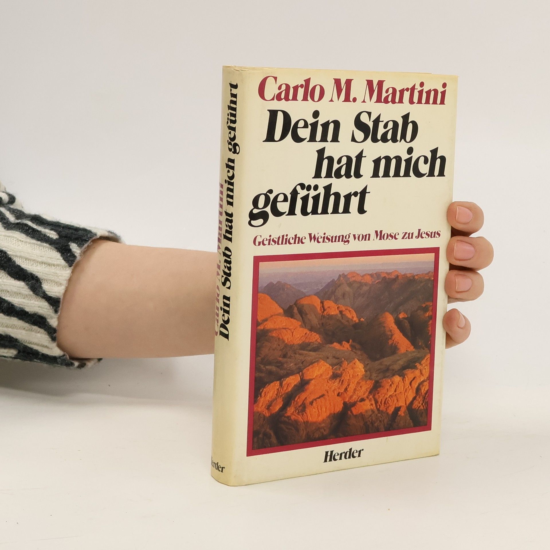 Carlo Maria Martini Dein Stab hat mich geführt