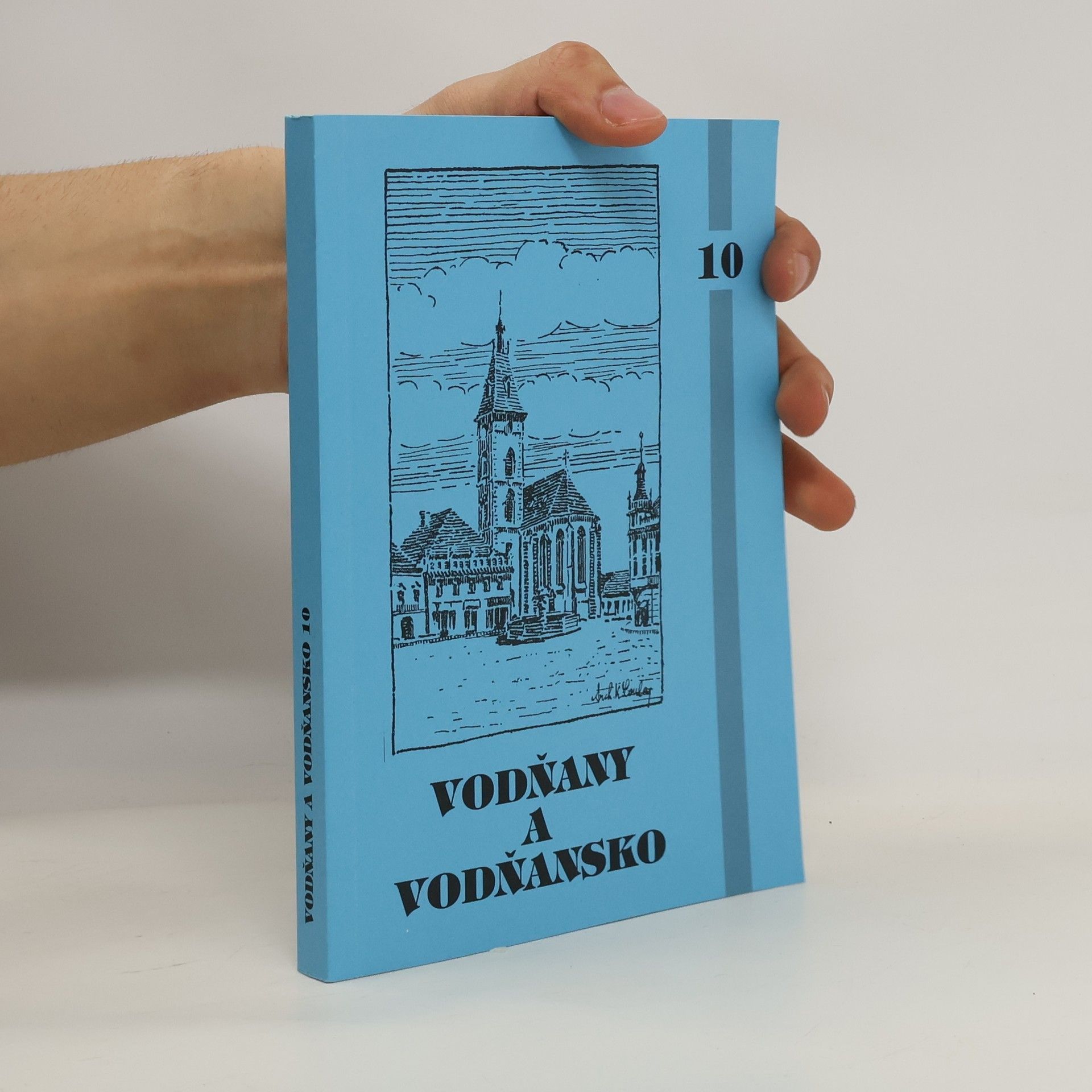Kolektiv autorů Vodňany a Vodňansko 10