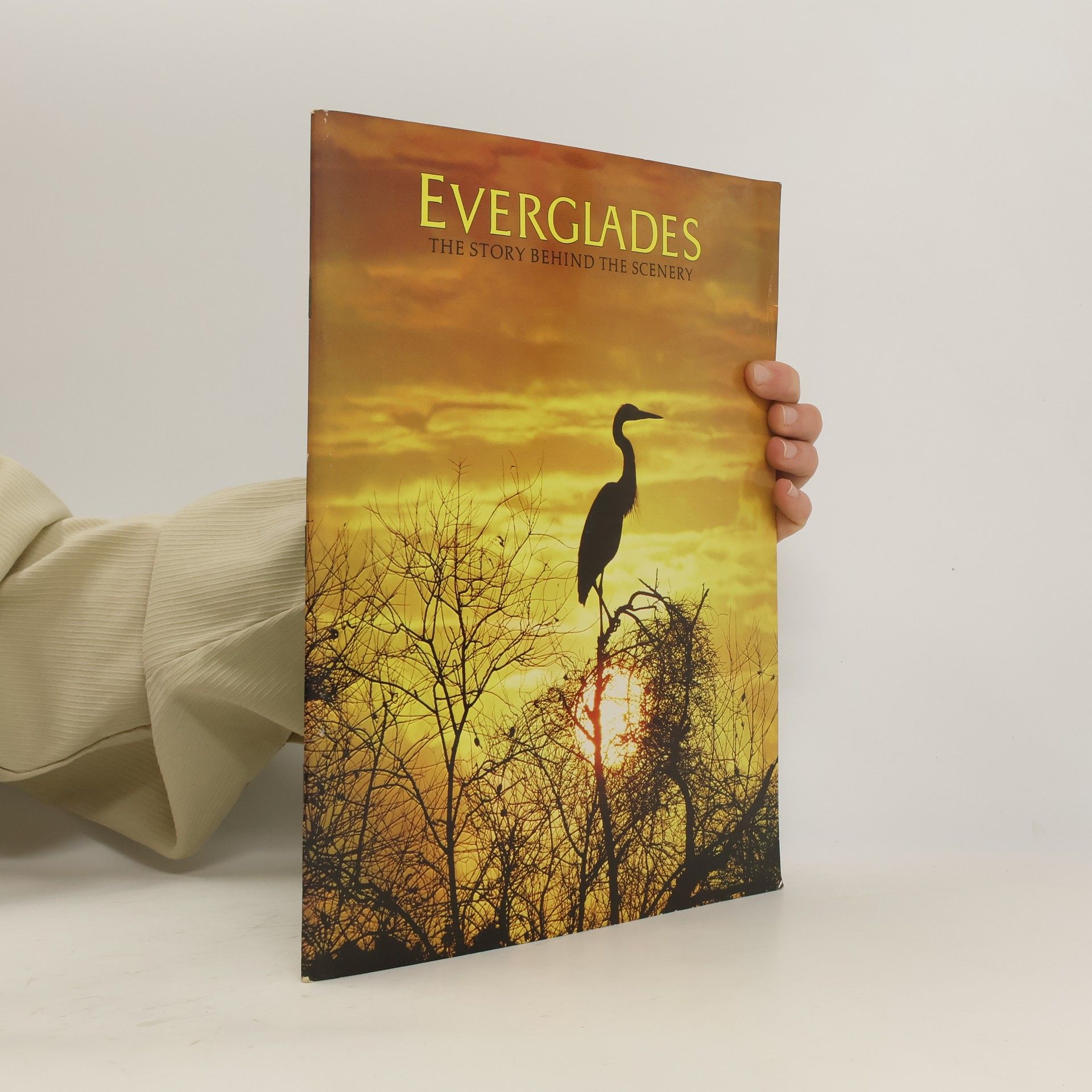 Jack De Golia Everglades
