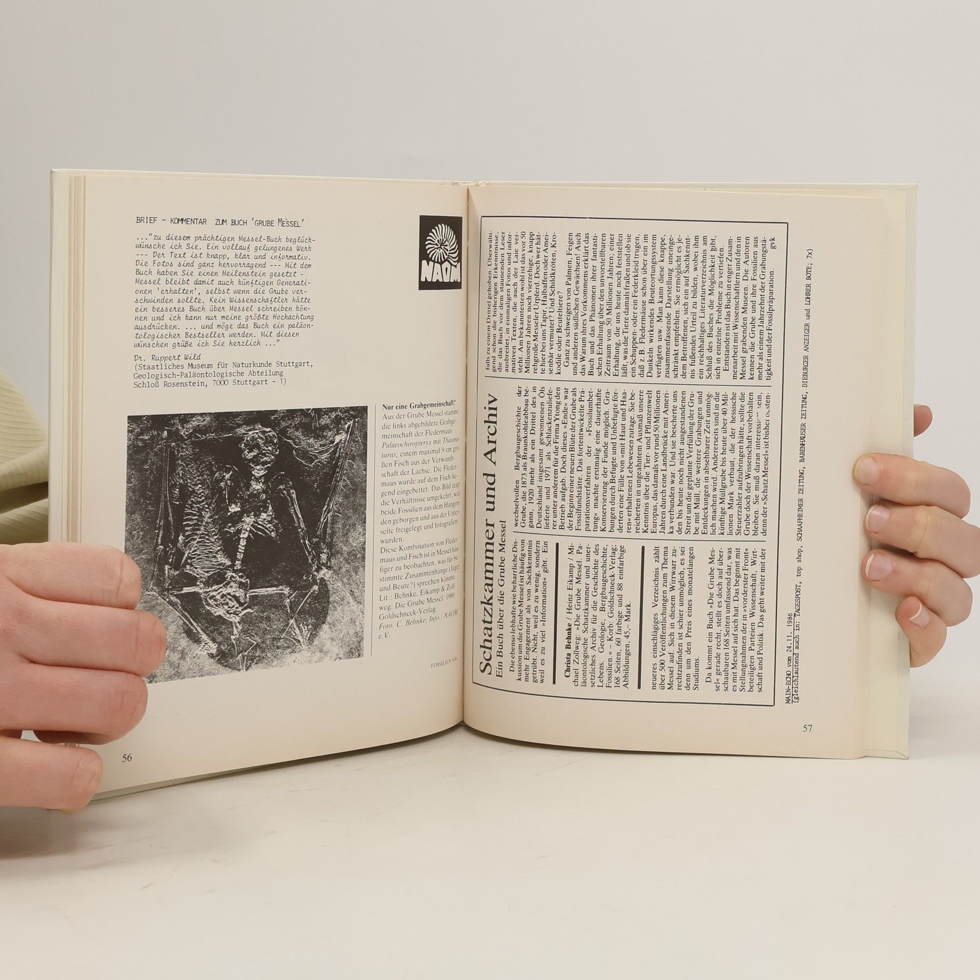Heinz Eikamp NAOM-Jahresbericht vol. 10(8), no. 1(2), 1985/1986: Messelreminiszenzen