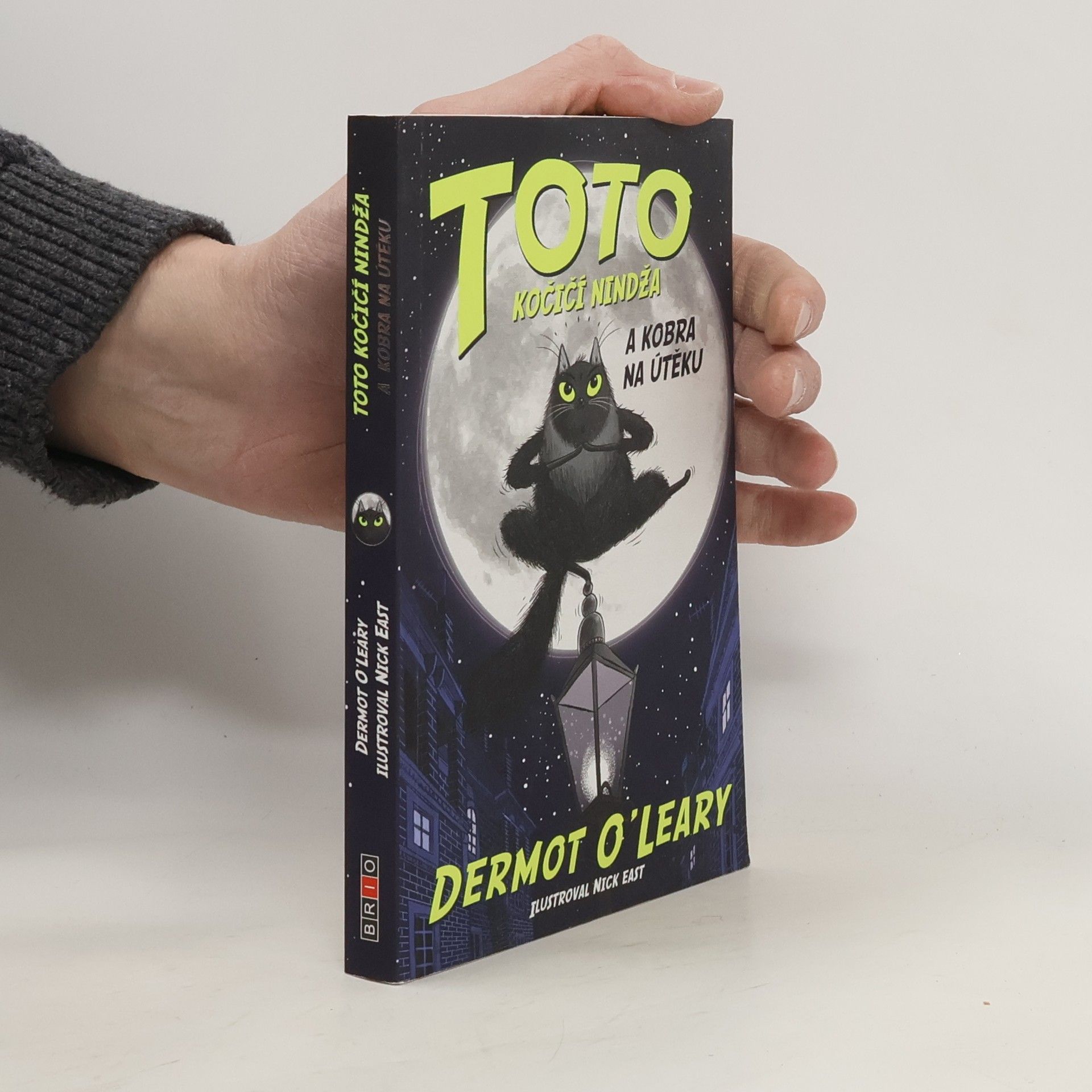 Dermot O\'Leary Toto kočičí nindža a kobra na útěku