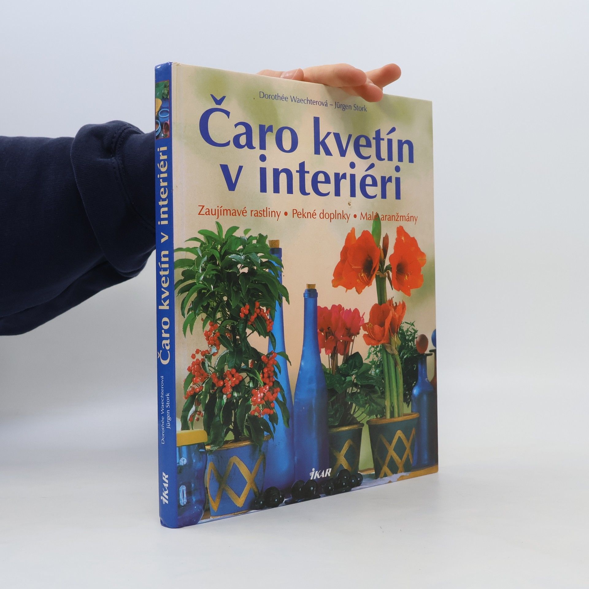 Dorothée Waechter Čaro kvetín v interiéri