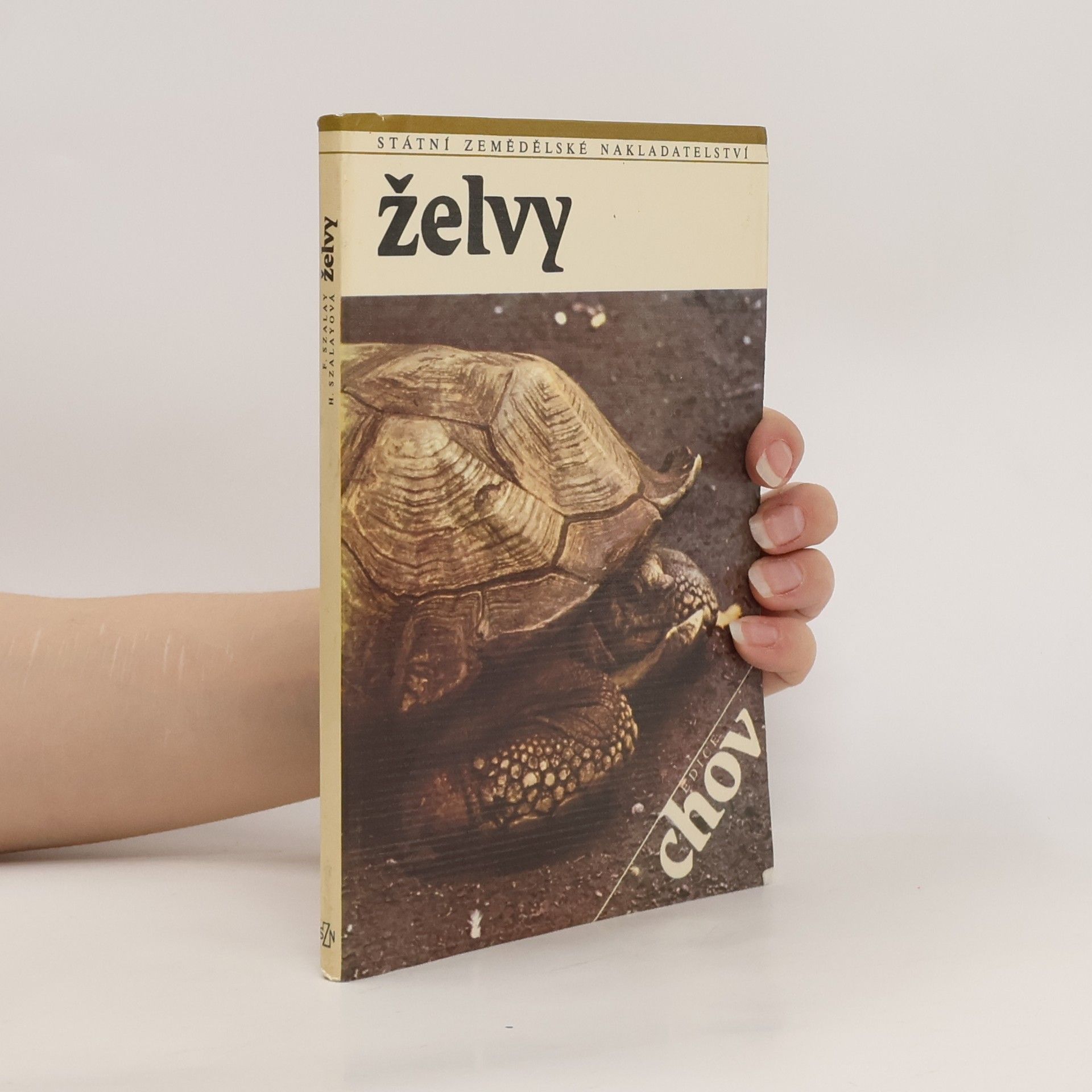 Hana Gregorová Želvy
