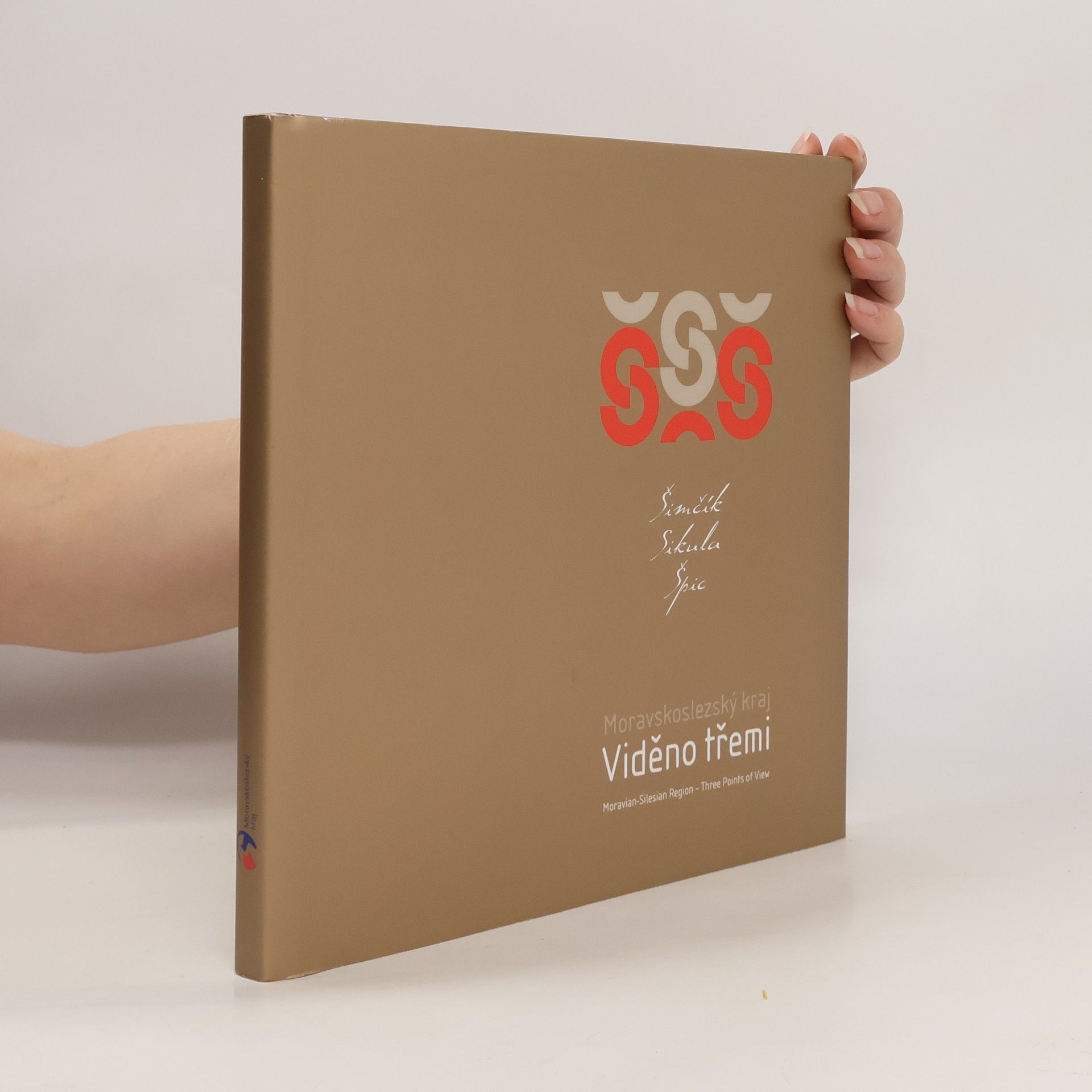 Autorenkollektiv Moravskoslezský kraj. Viděno třemi
