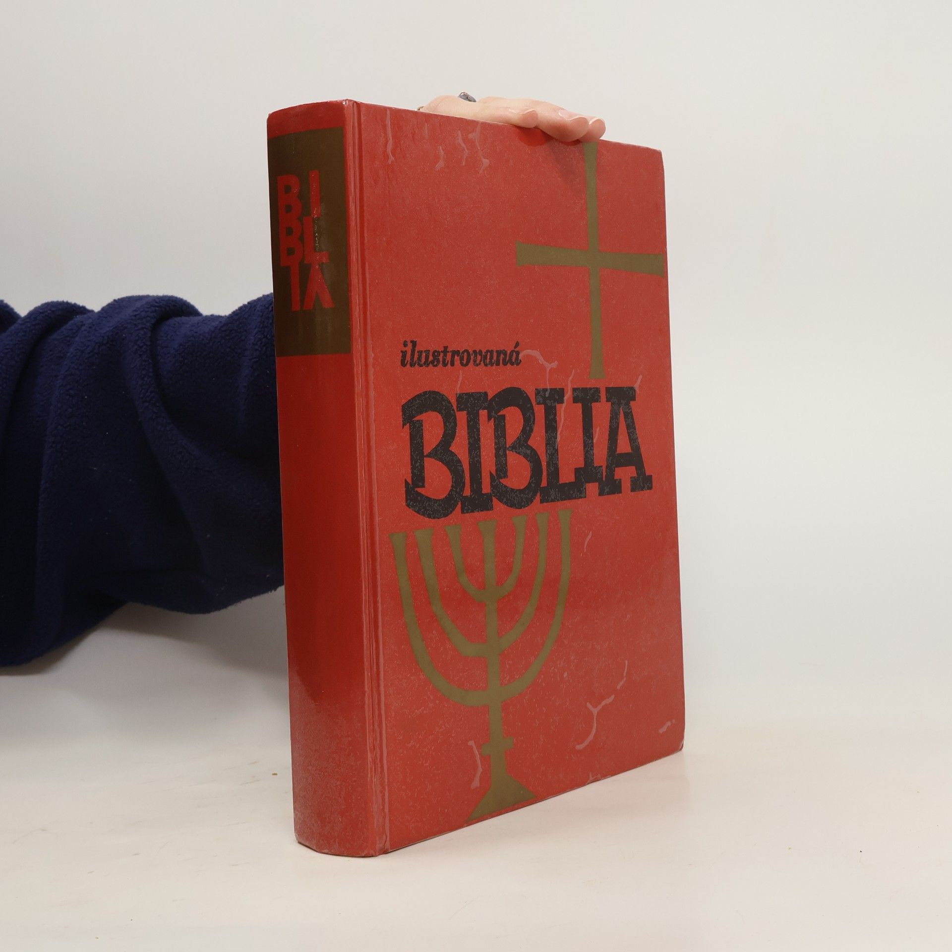 kolektiv Ilustrovaná biblia : Výber statí s farebnými obrázkami