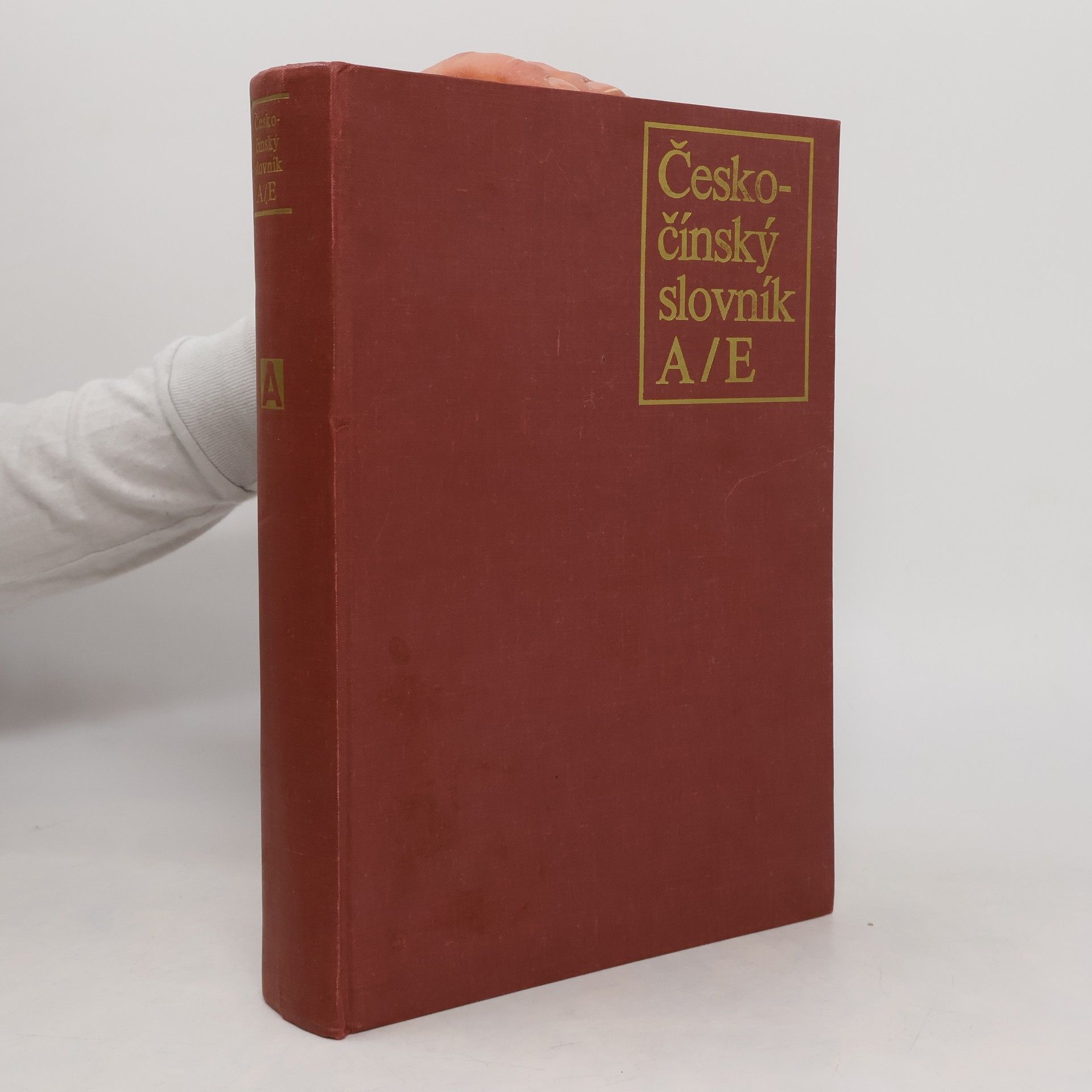 Autorenkollektiv Česko-čínský slovník (A/E)