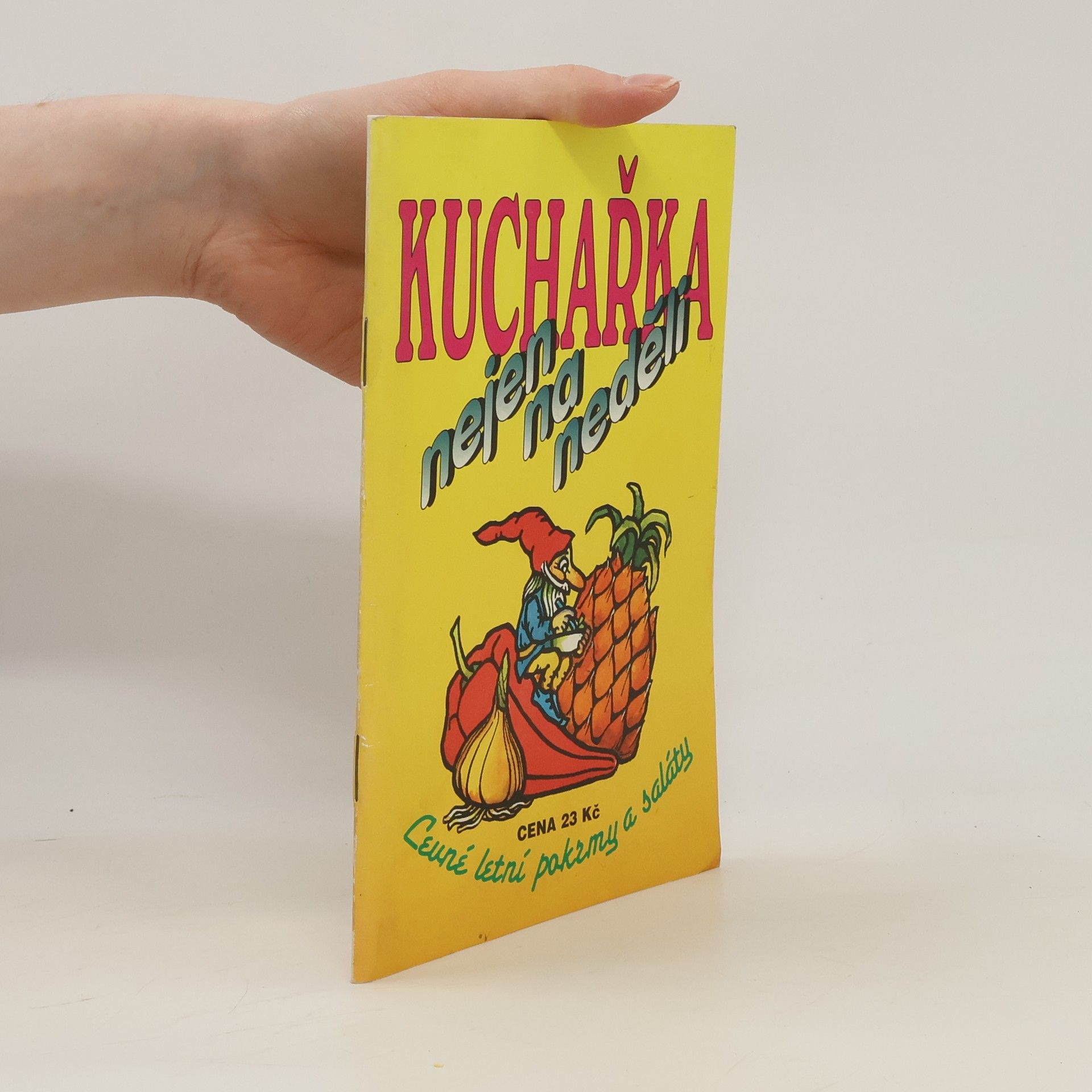 Collectif d'auteurs Kuchařka nejen na neděli. Levné letní pokrmy a saláty