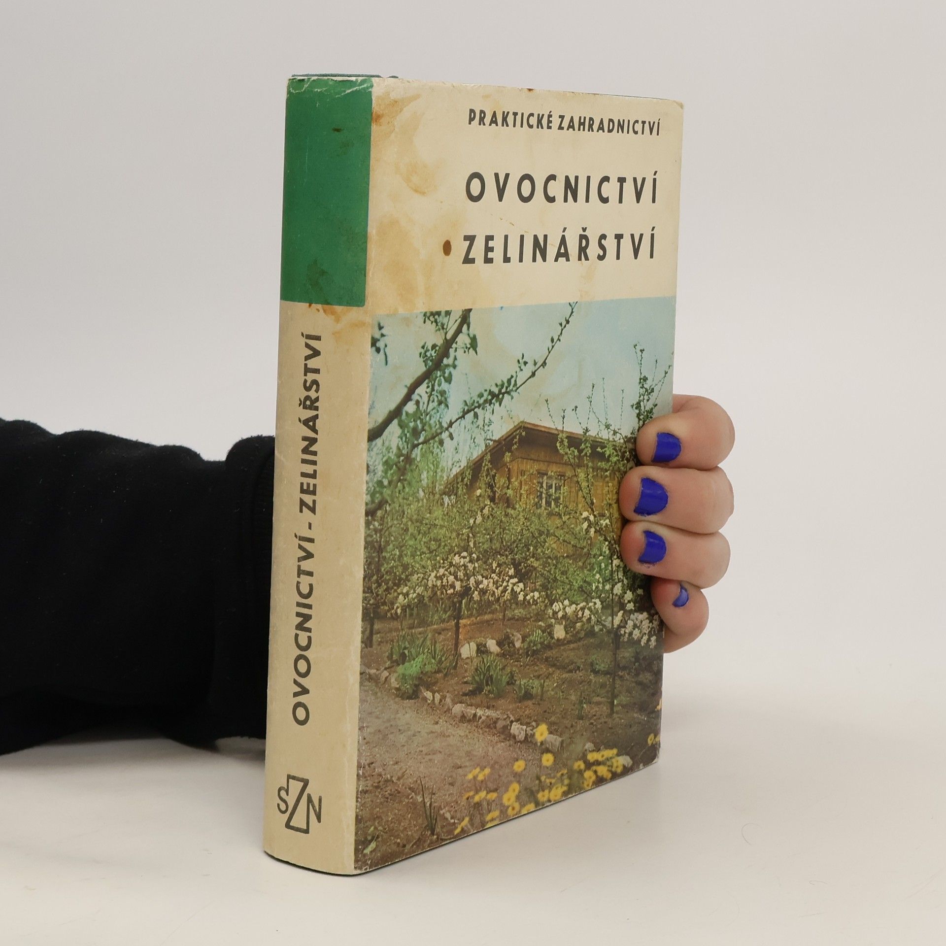 Anna Horynová Praktické zahradnictví. Ovocnictví zelinářství