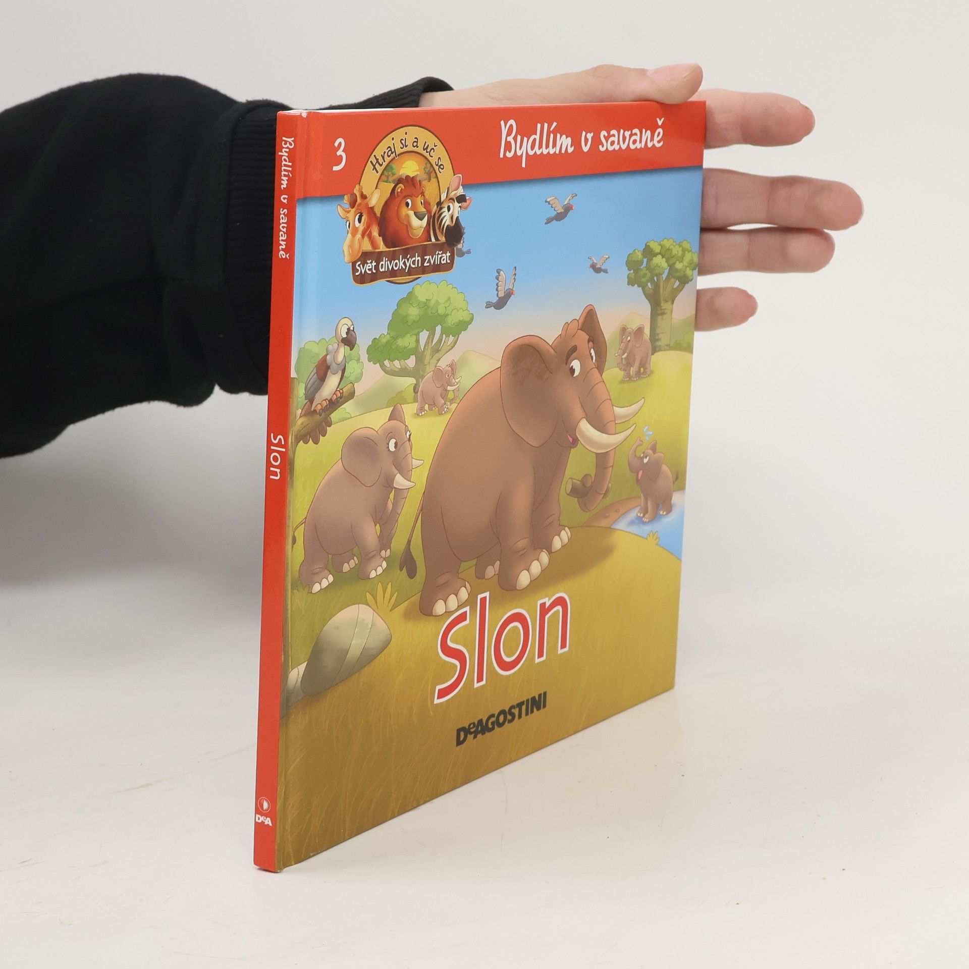 kolektiv Bydlím v savaně 3. Slon
