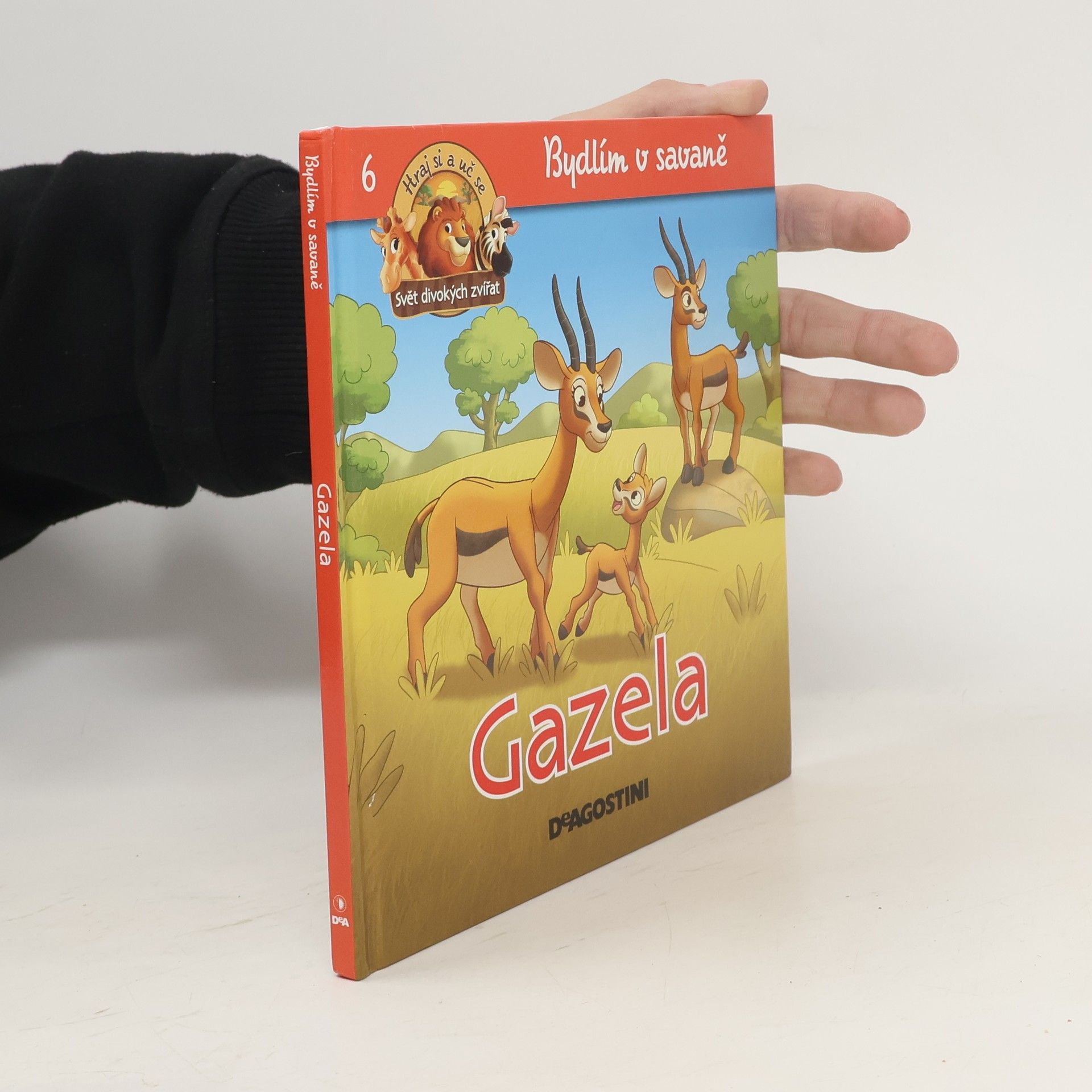 kolektiv Bydlím v savaně 6. Gazela