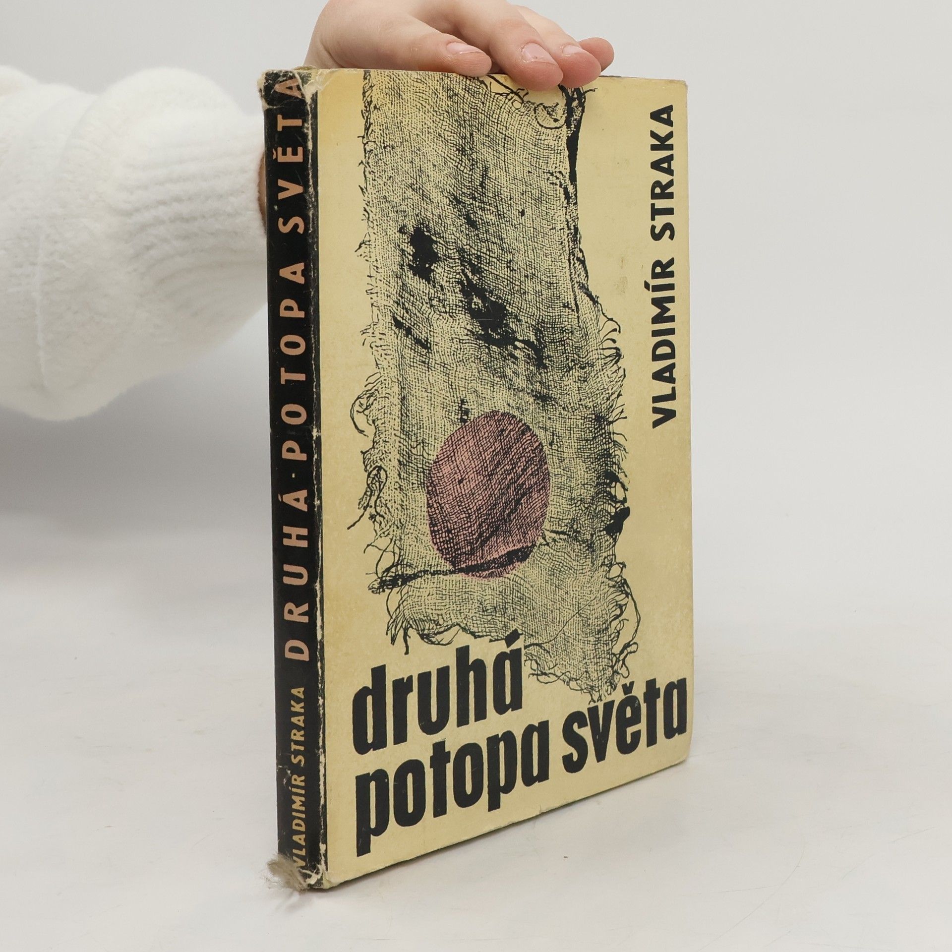 Vladimír Straka Druhá potopa světa