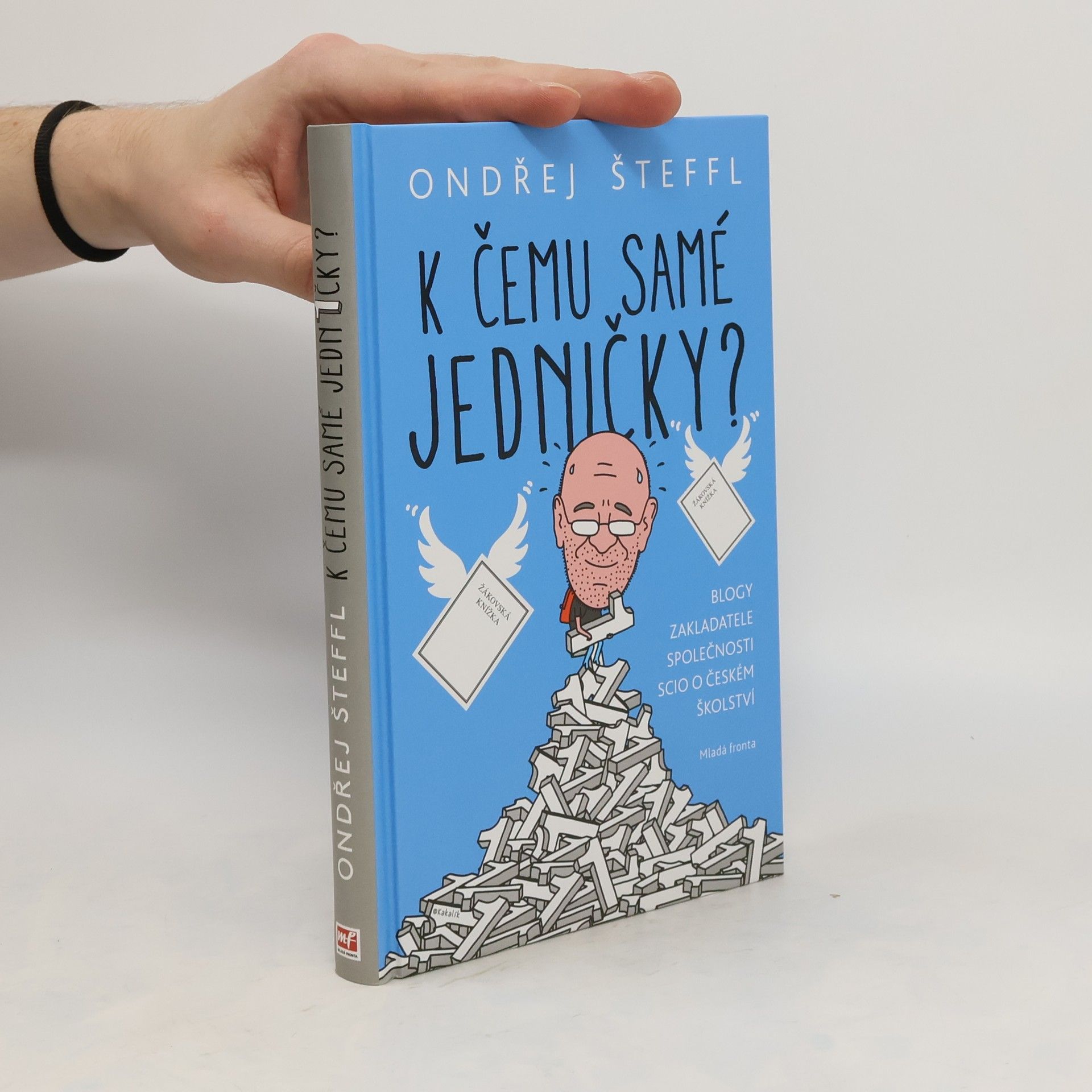 Ondřej Šteffl K čemu samé jedničky?