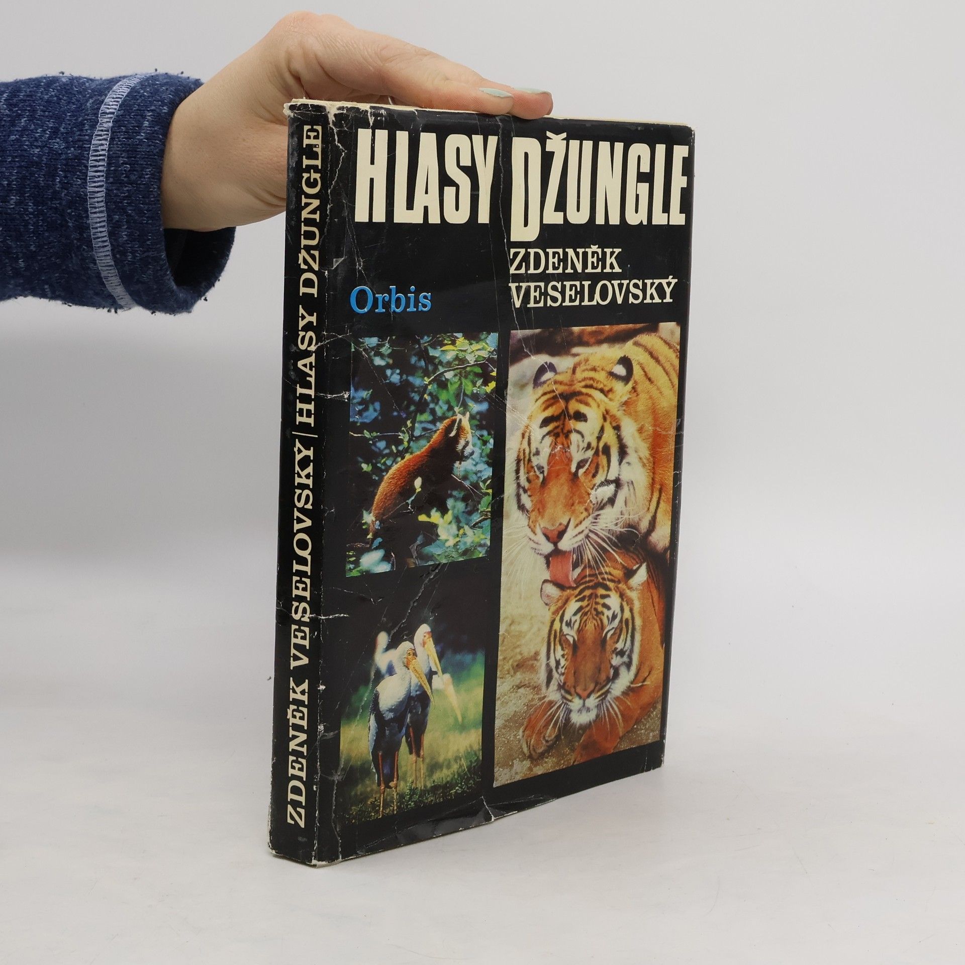 Alena Čepická Hlasy džungle