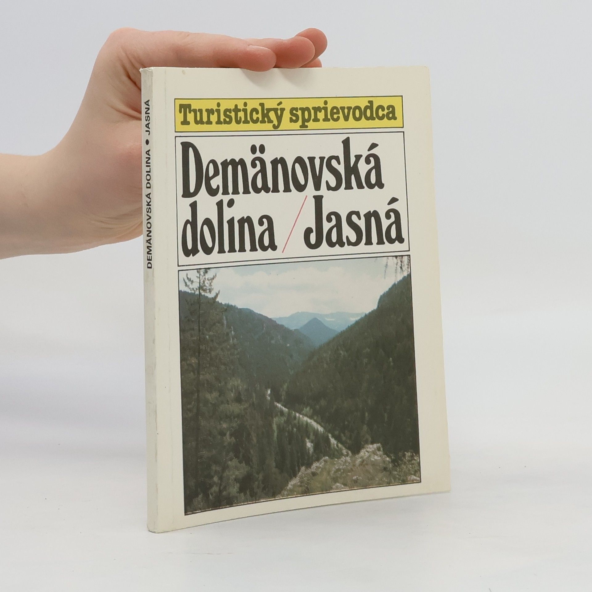 Zdenko Hochmuth Demänovská dolina / Jasná