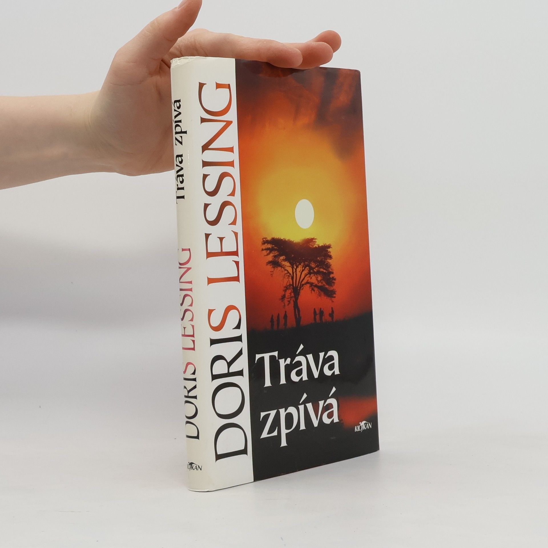 Doris Lessing Tráva zpívá