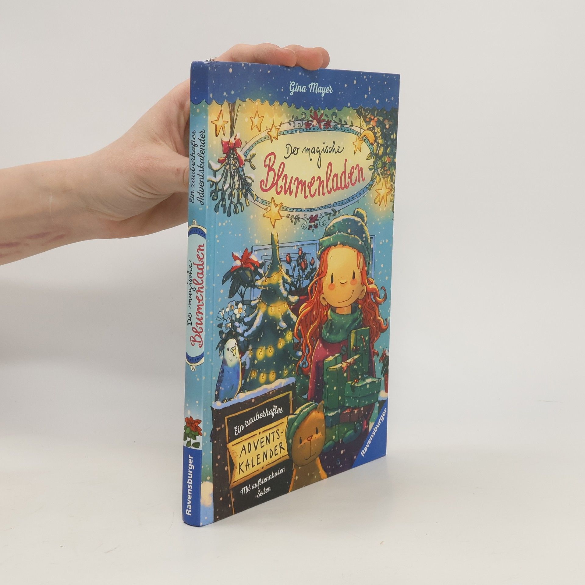 Gina Mayer Der magische Blumenladen - ein zauberhafter Adventskalender