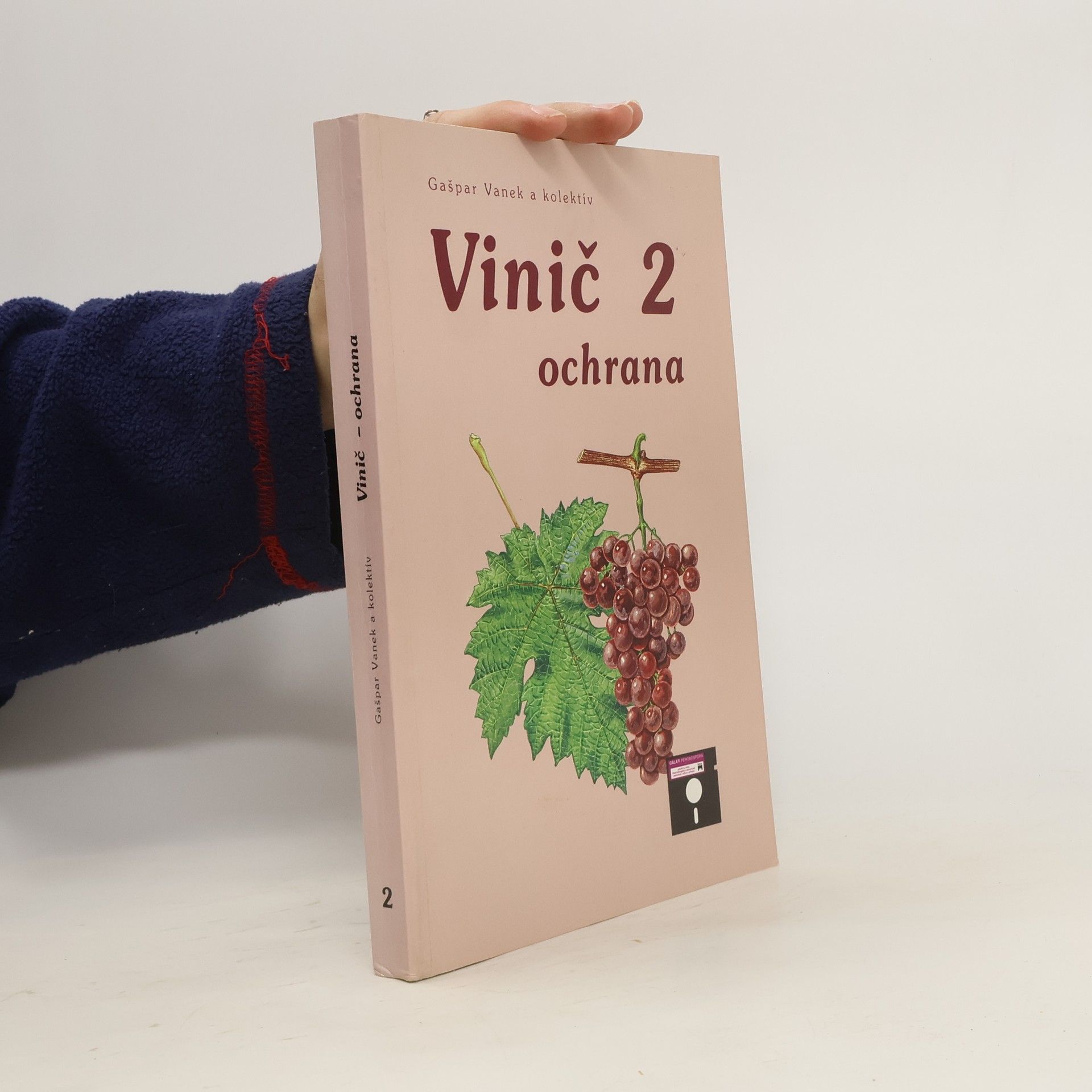 Gašpar Vanek Vinič 2. Ochrana