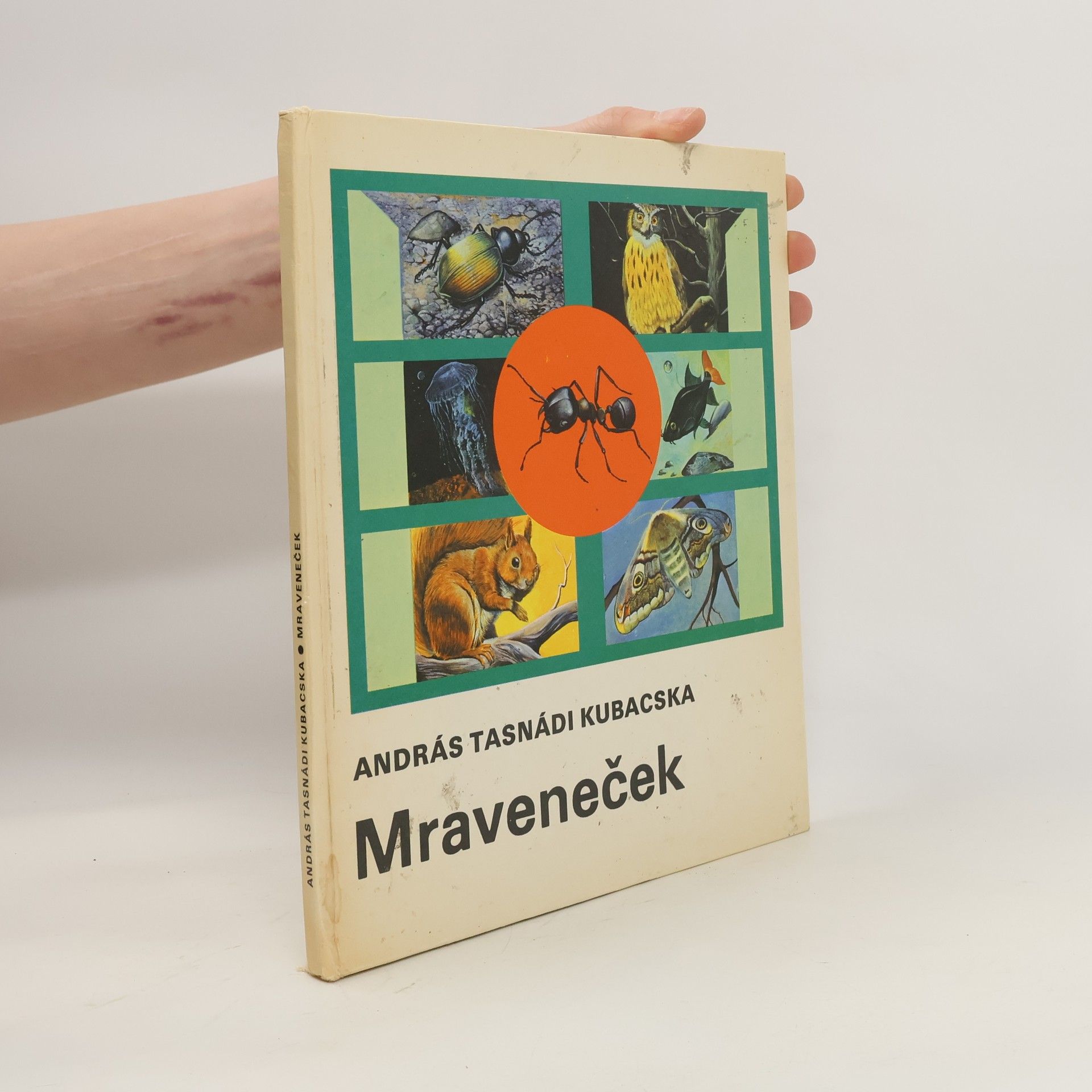 András Tasnádi Kubacska Mraveneček