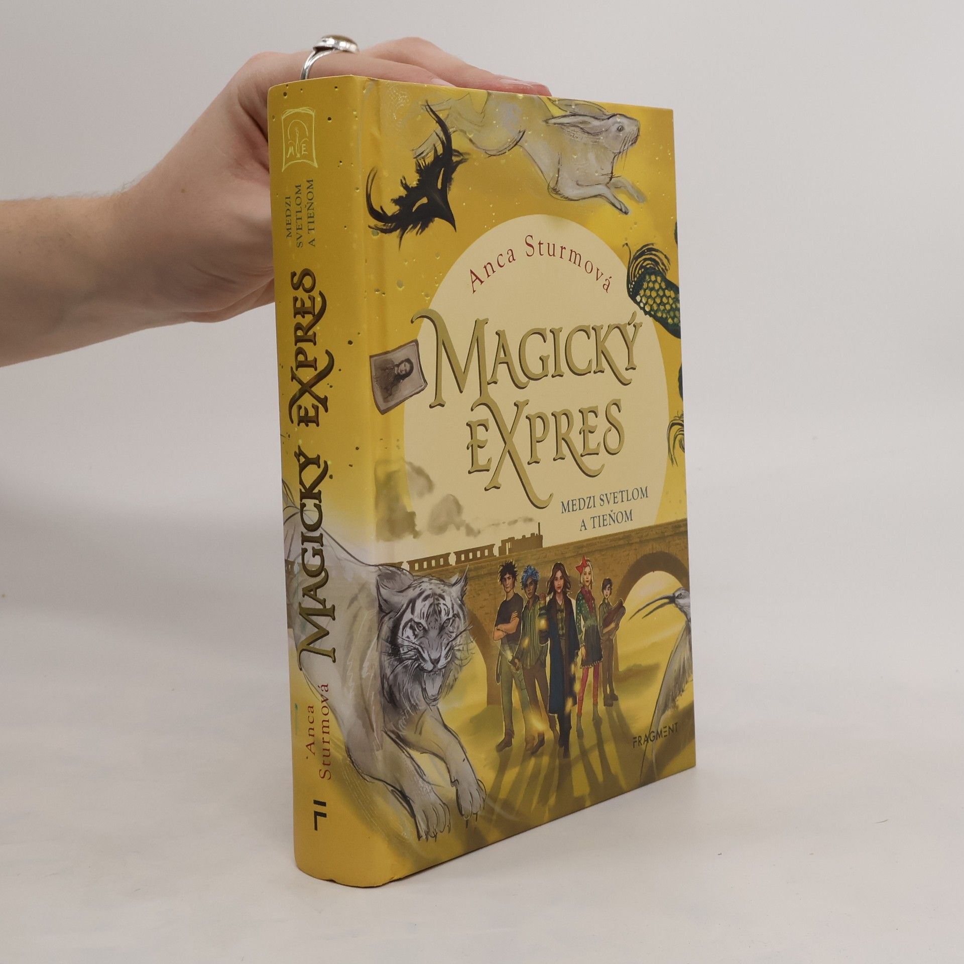 Anca Sturm Magický expres: Medzi svetlom a tieňom