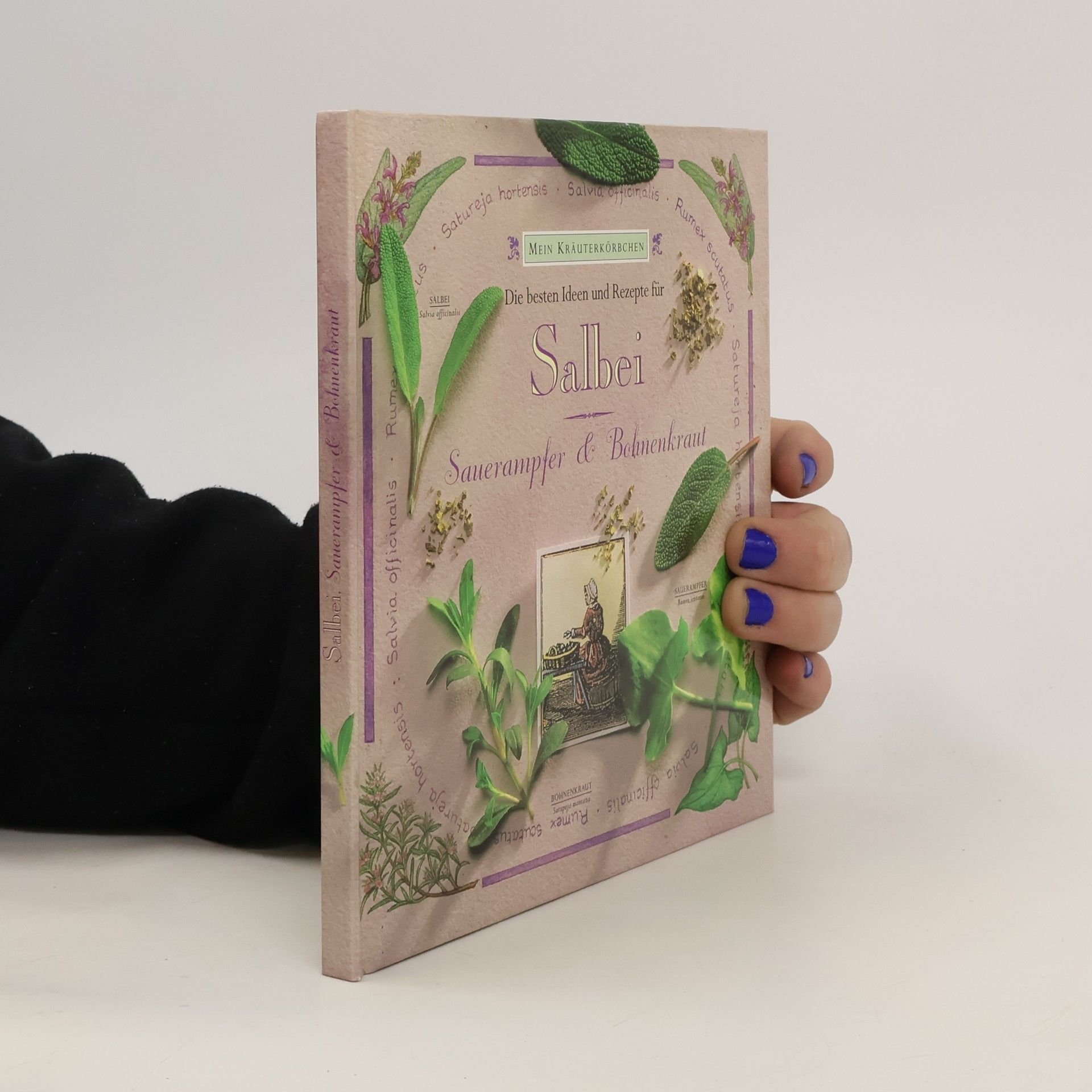 Hazel Evans Die besten Ideen und Rezepte für Salbei, Sauerampfer und Bohnenkraut.