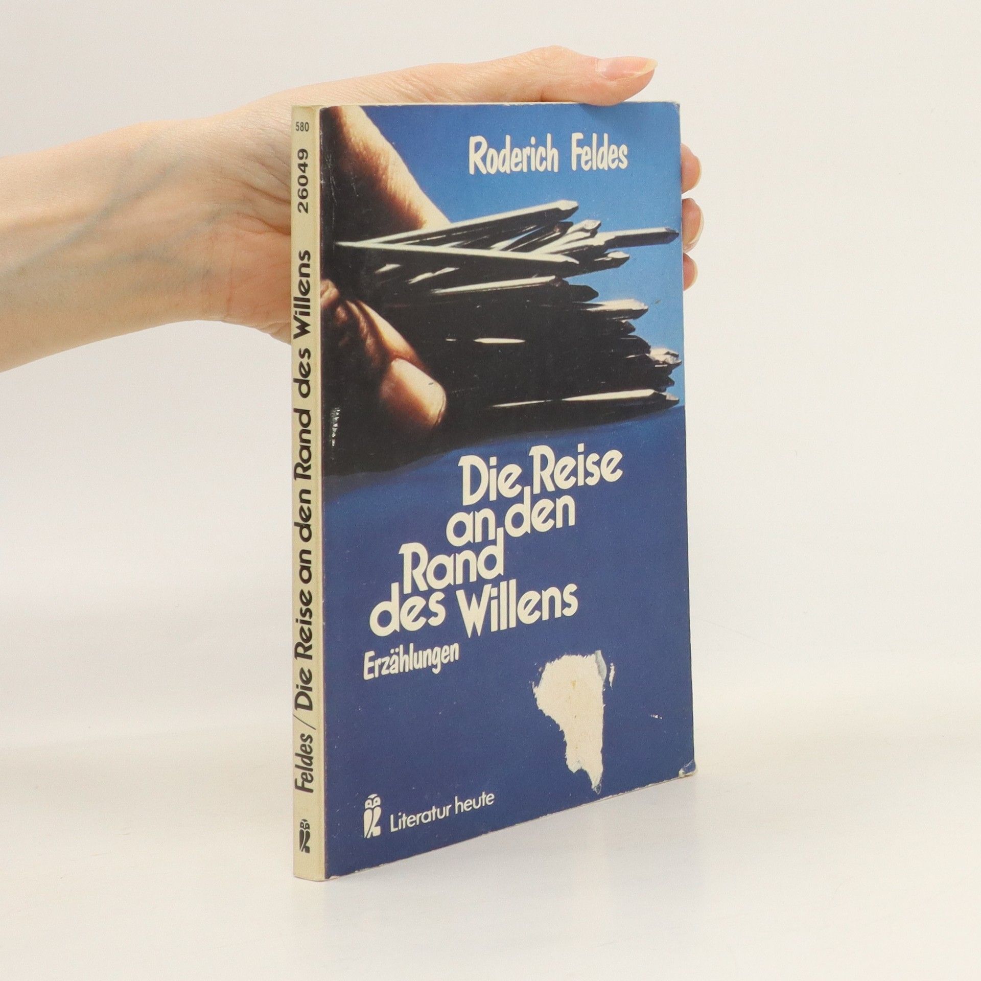 Roderich Feldes Die Reise an den Rand des Willens