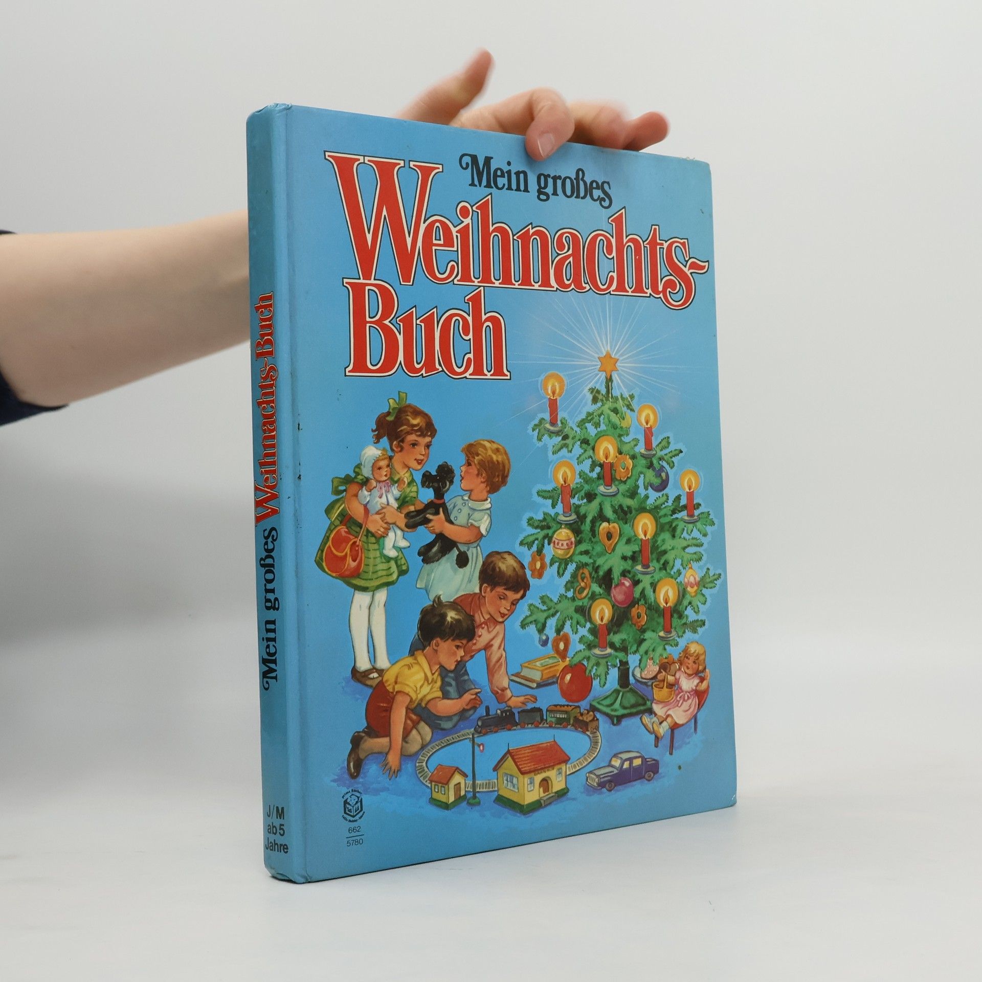 Autorenkollektiv Mein großes Weihnachtsbuch