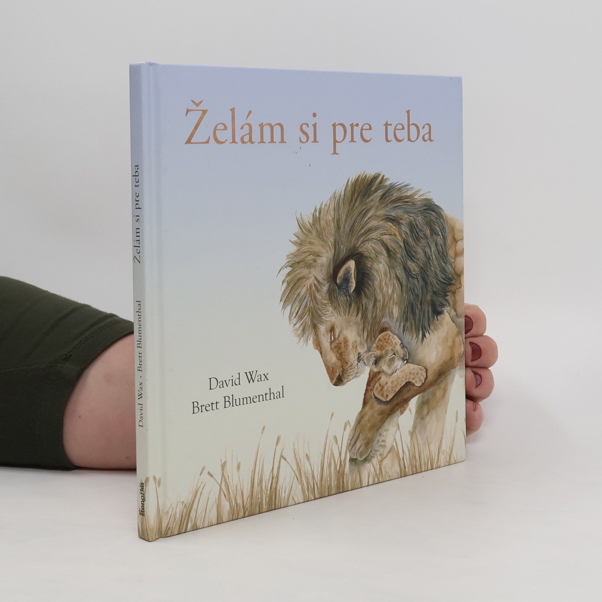 David Wax Želám si pre teba