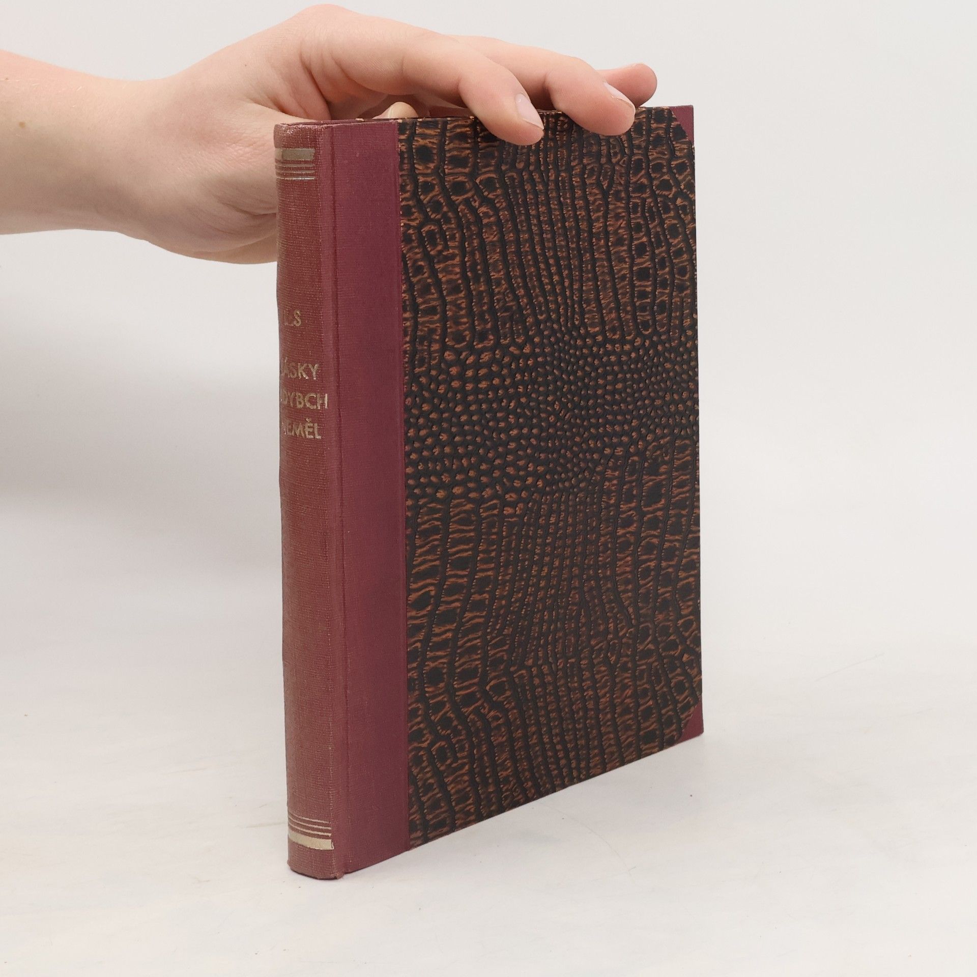 Jaroslav Les Lásky kdybych neměl