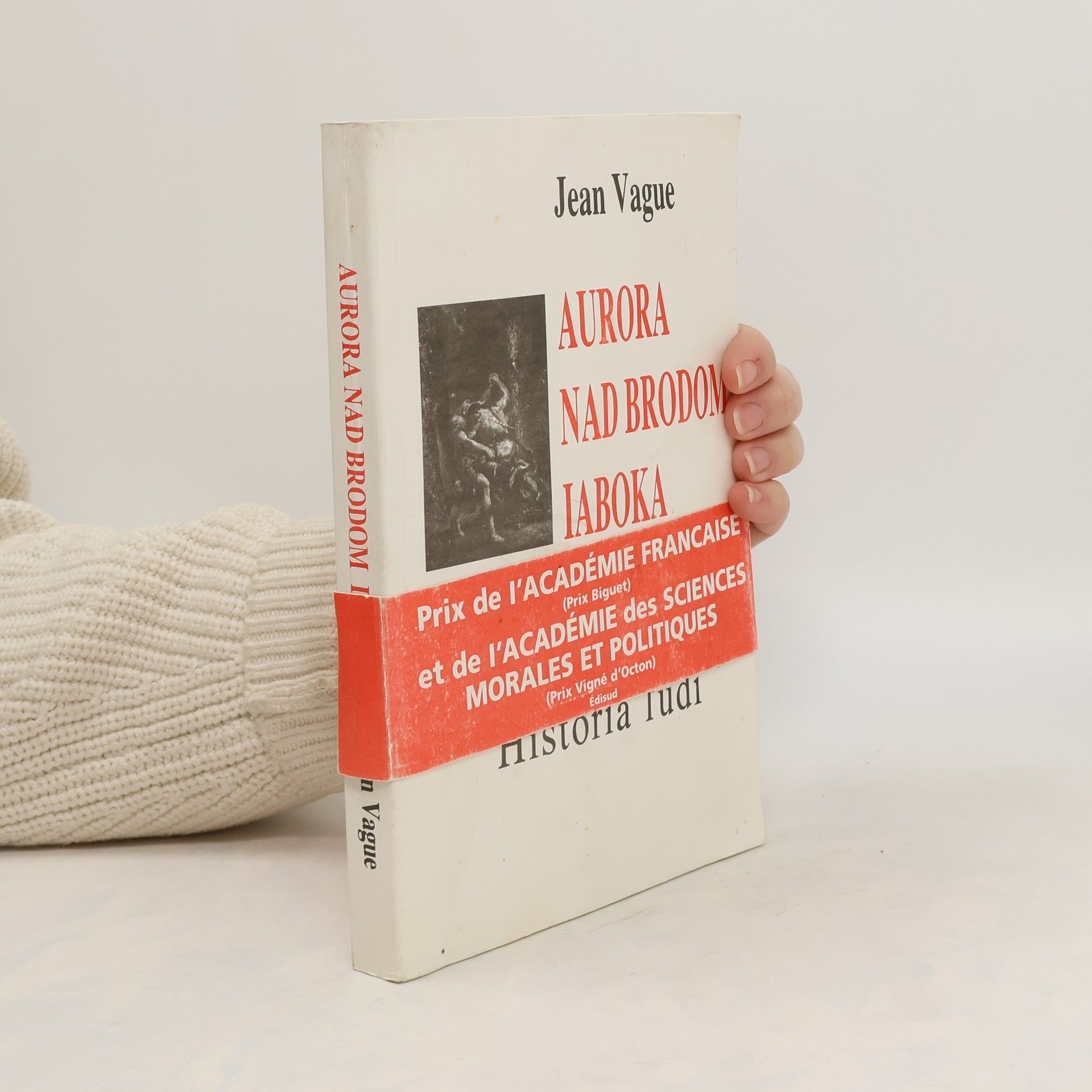 Jean Vague Aurora nad brodom Iaboka