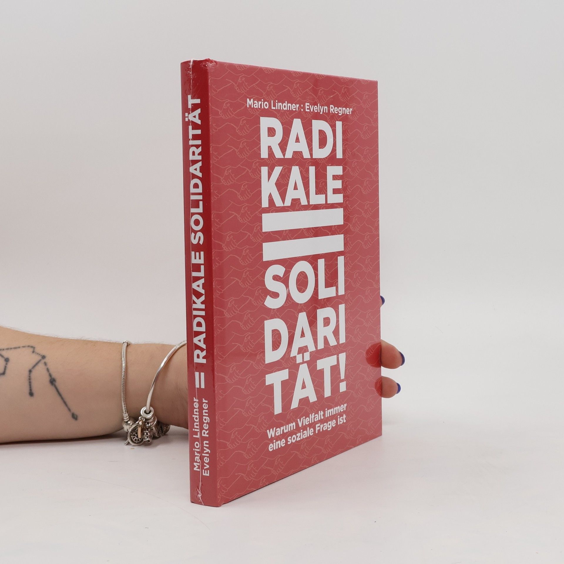 Mario Lindner Radikale Solidarität
