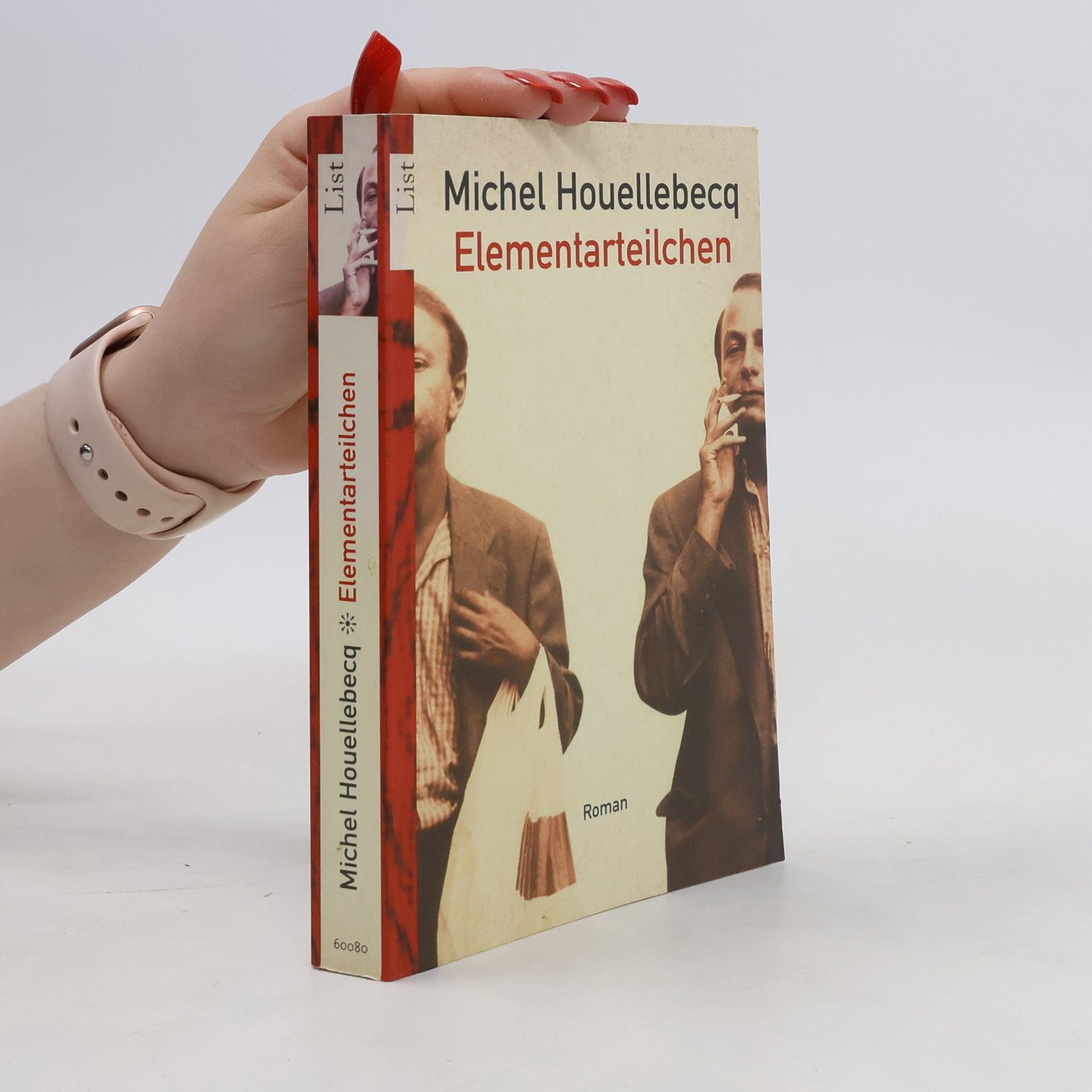 Michel Houellebecq Elementarteilchen