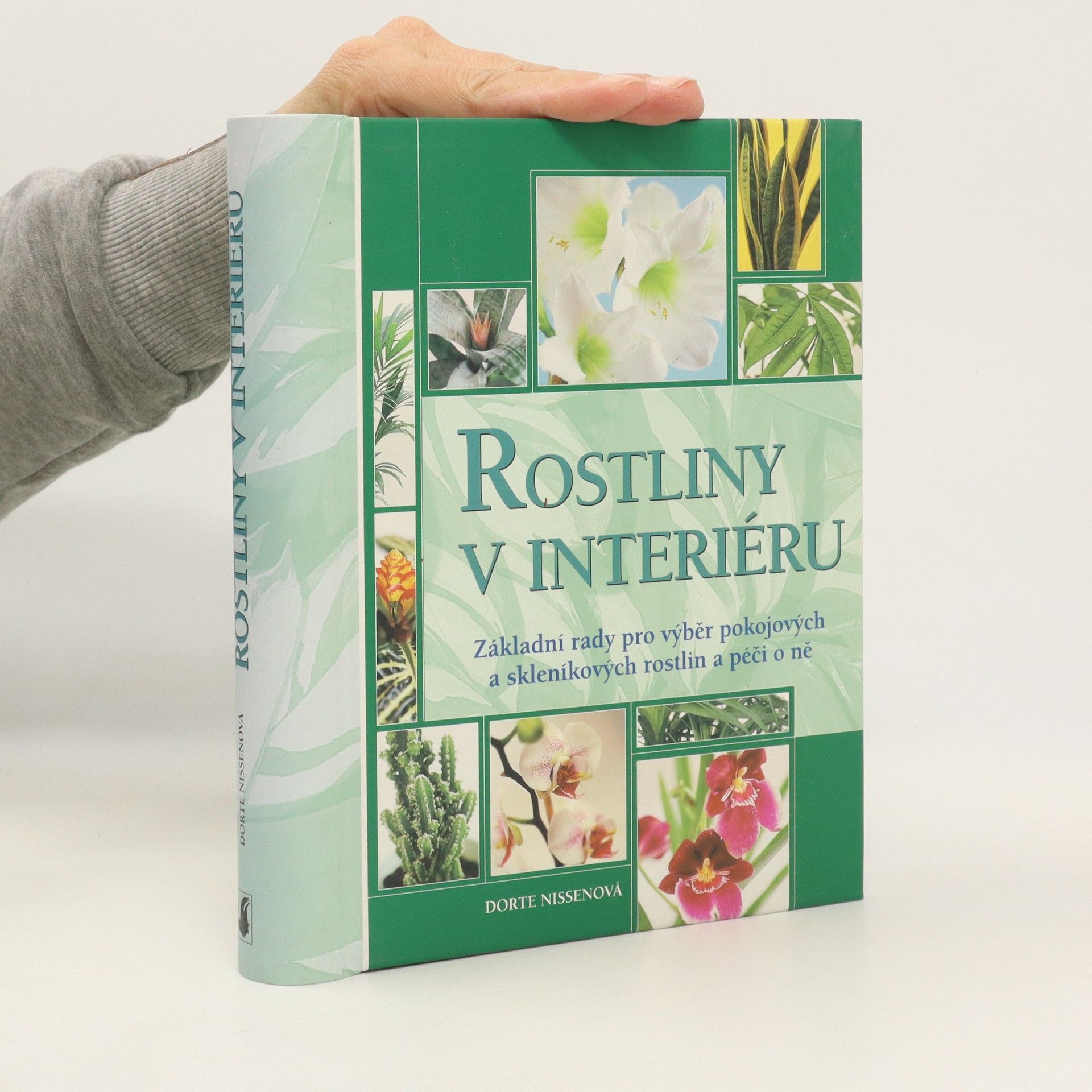 Dorte Nissen Rostliny v interiéru