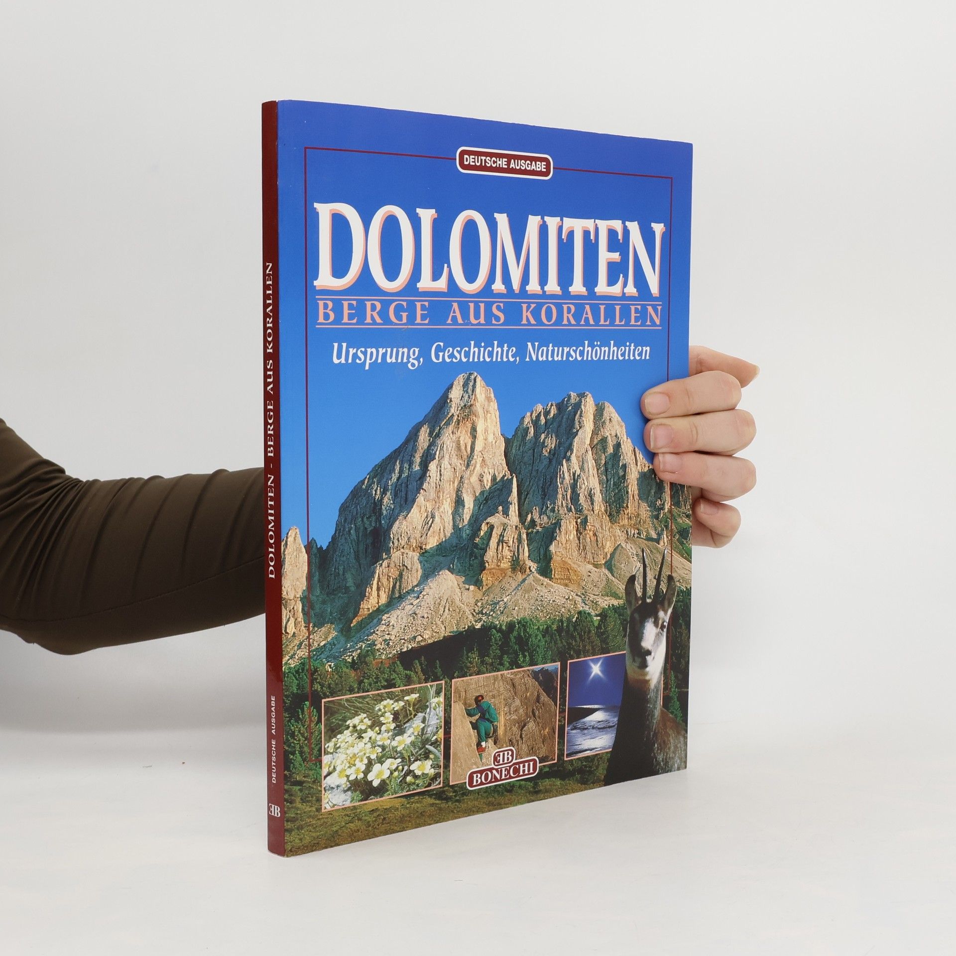 Andrea Innocenti Dolomiten