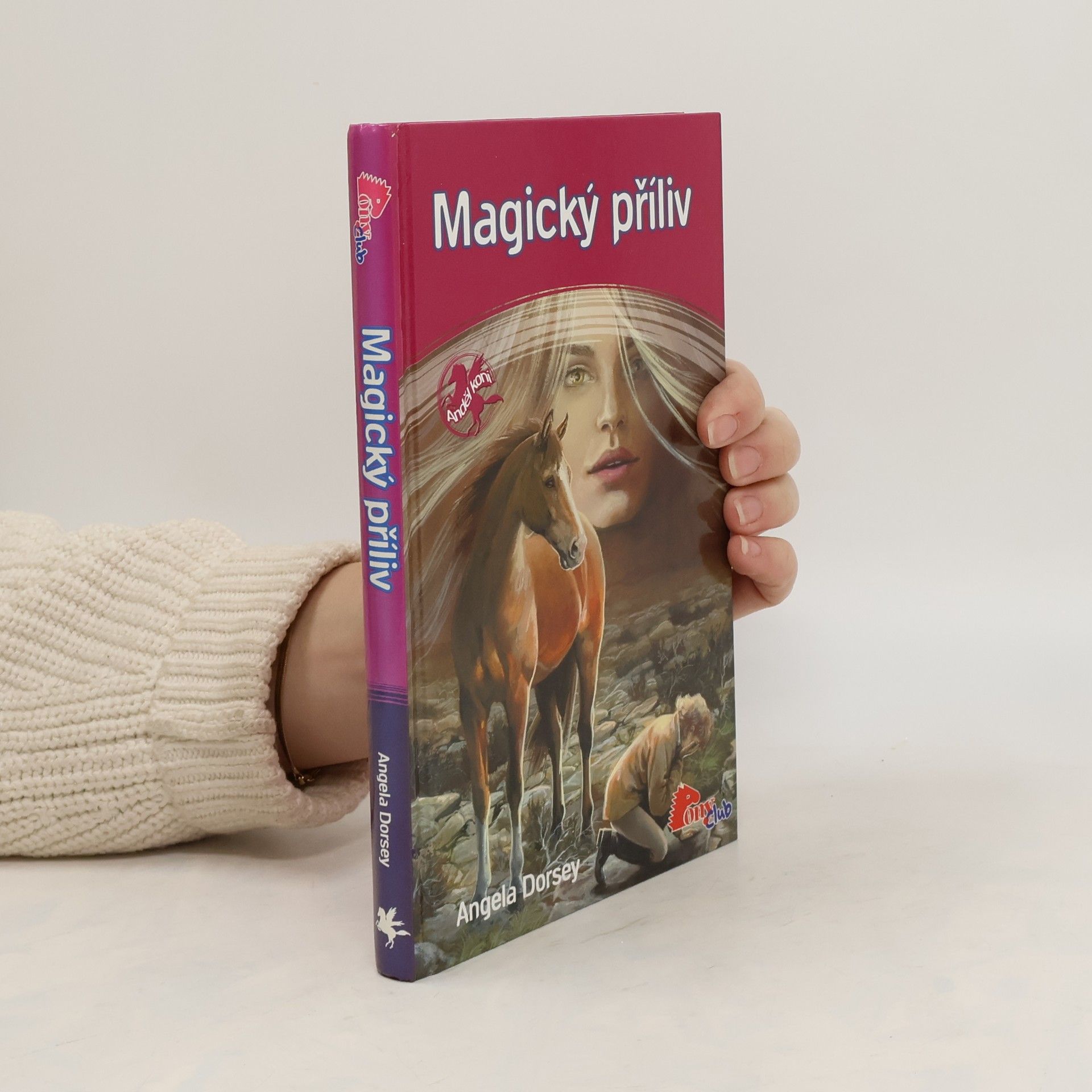 Angela Dorsey Magický příliv