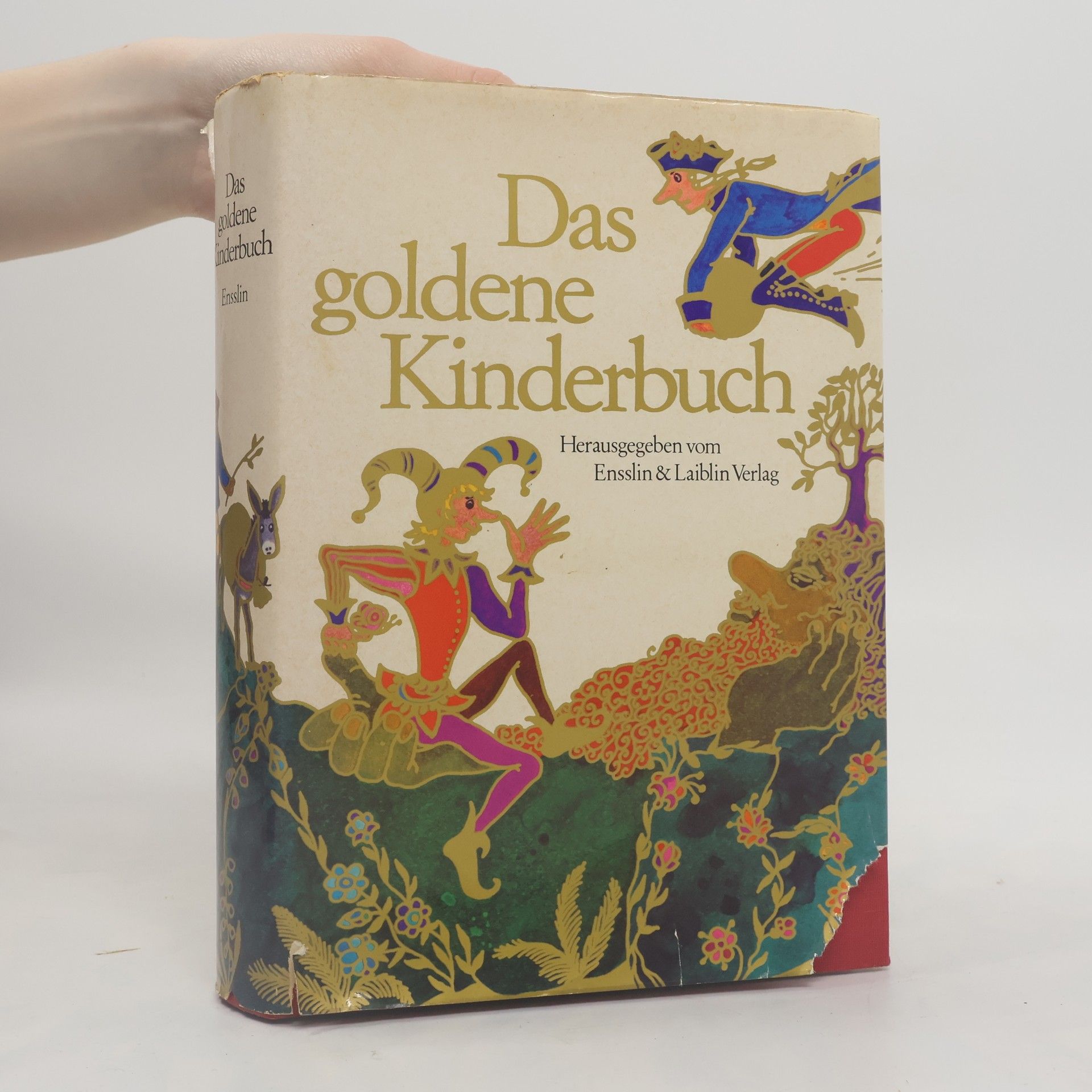Aiga Rasch Das goldene Kinderbuch