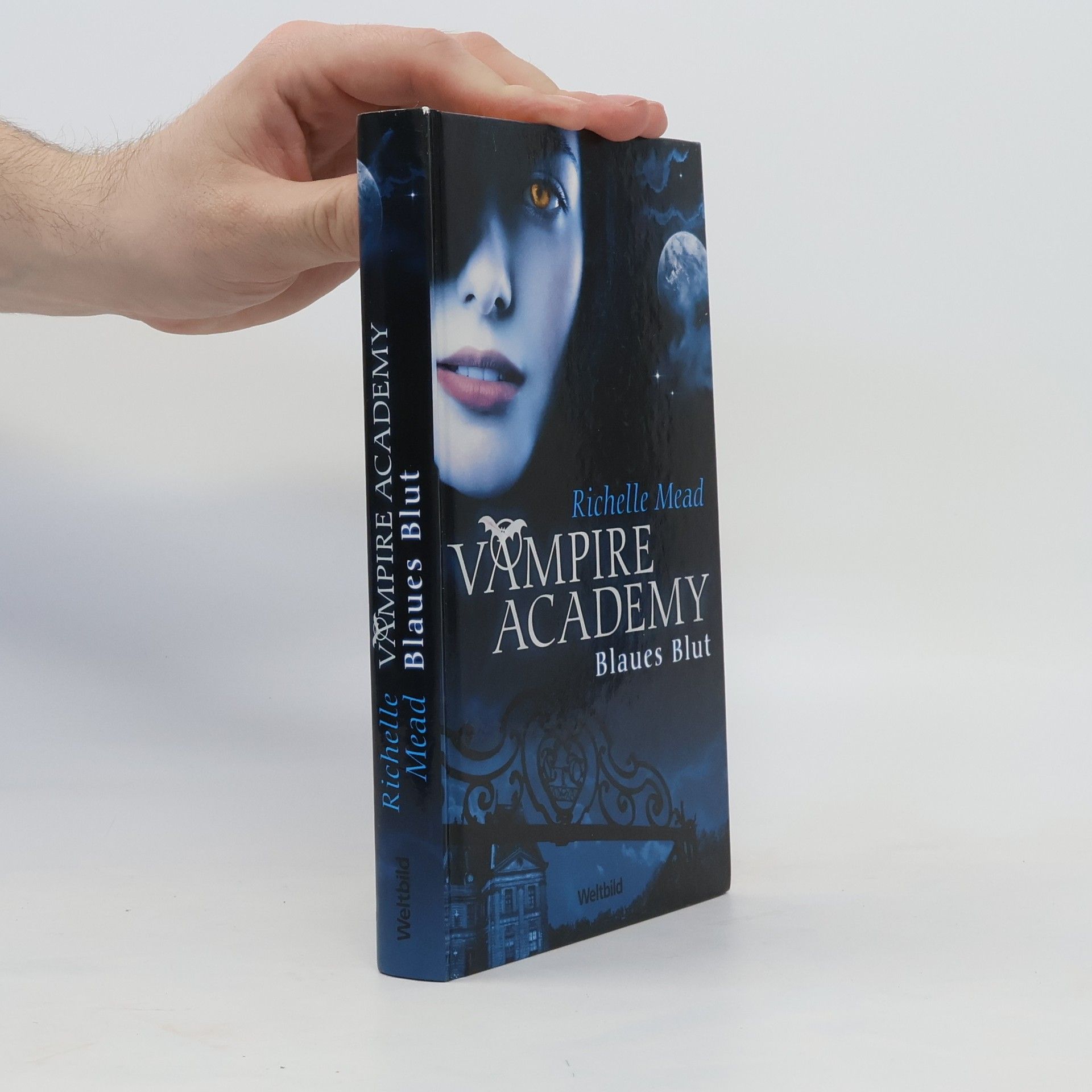 Richelle Mead Vampire Academy. Blaues Blut