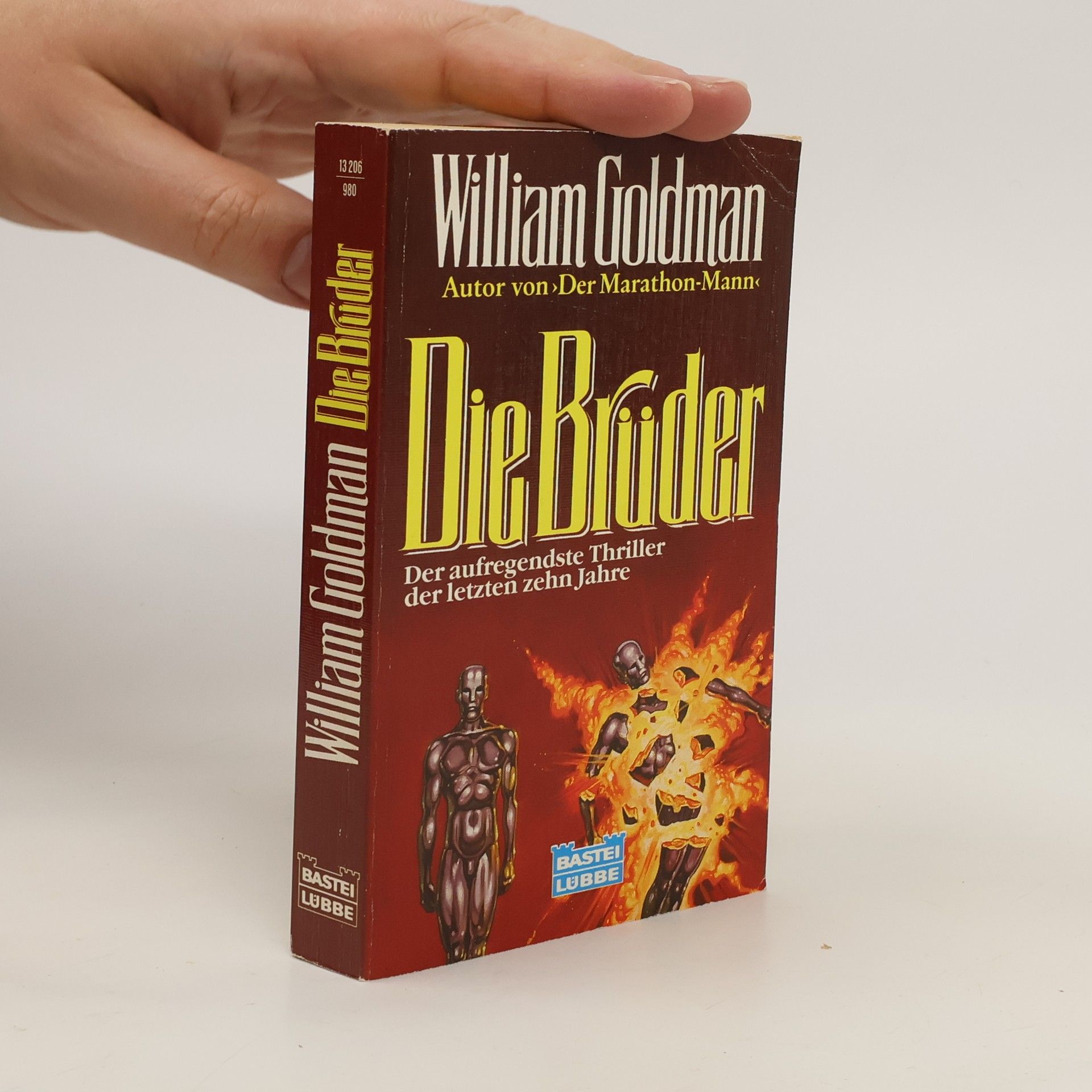 William Goldman Die Brüder. Roman