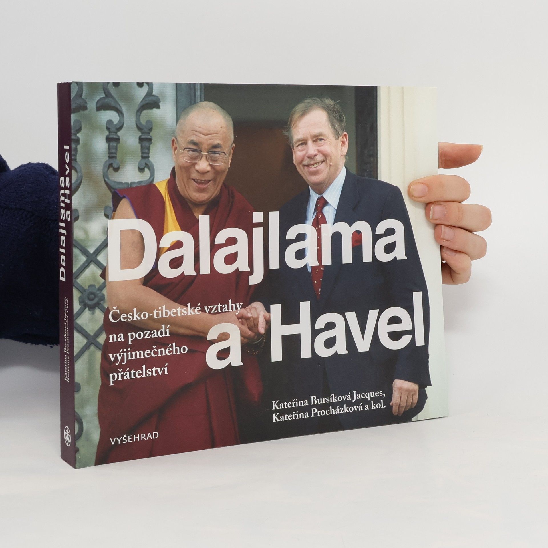 Zuzana Ondomišiová Dalajlama a Havel : česko-tibetské vztahy na pozadí výjimečného přátelství
