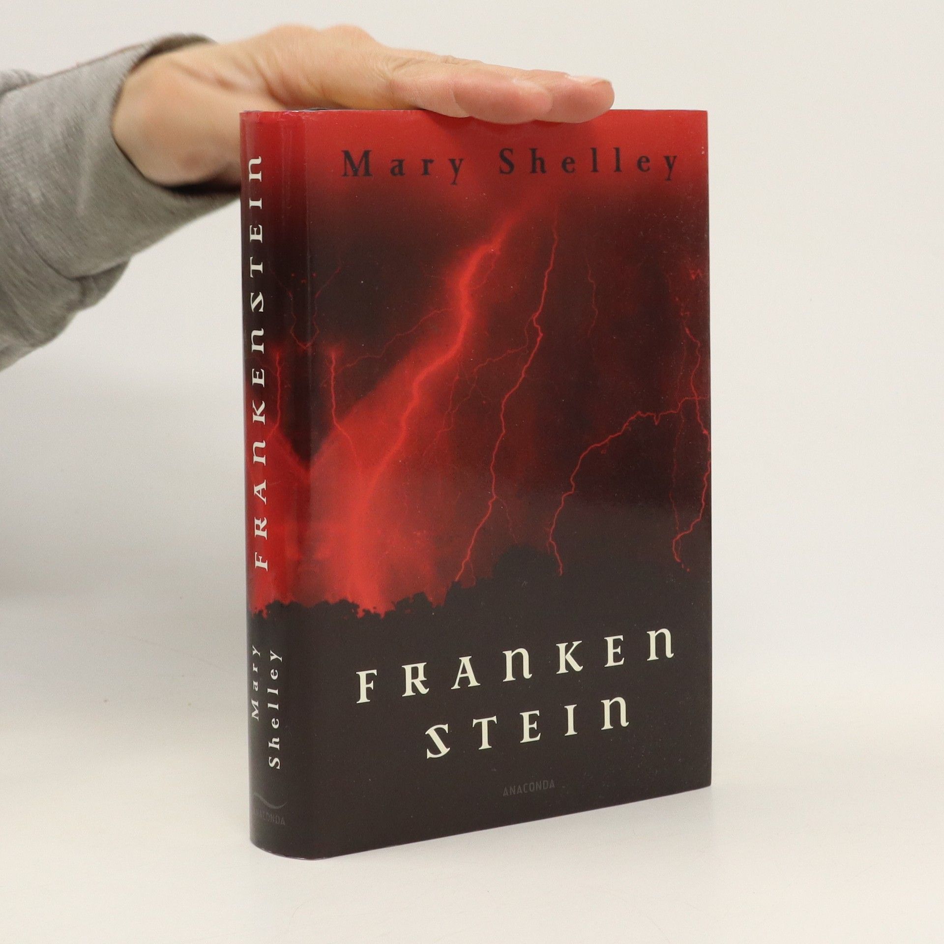 Mary Shelley Frankenstein oder Der neue Prometheus