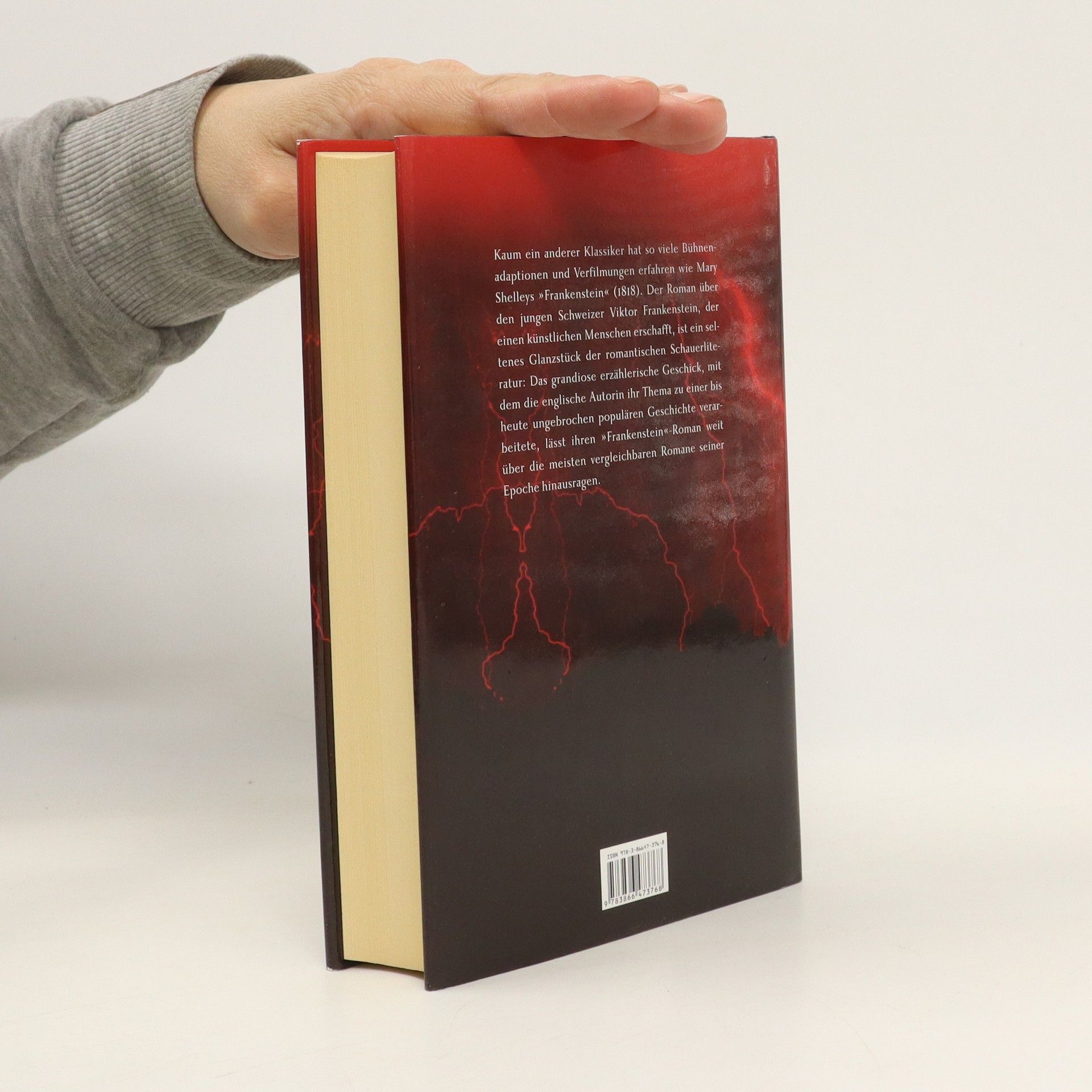 Mary W. Shelley Frankenstein oder Der neue Prometheus