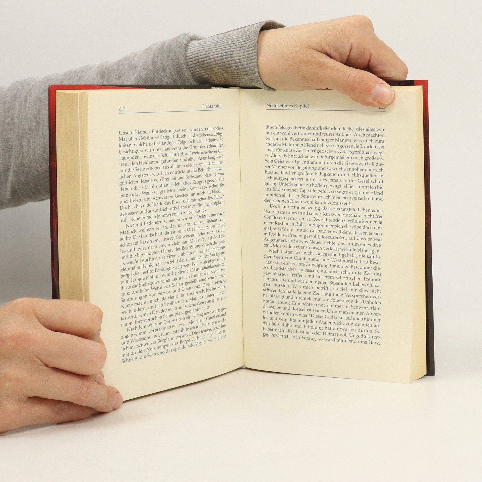 Mary W. Shelley Frankenstein oder Der neue Prometheus
