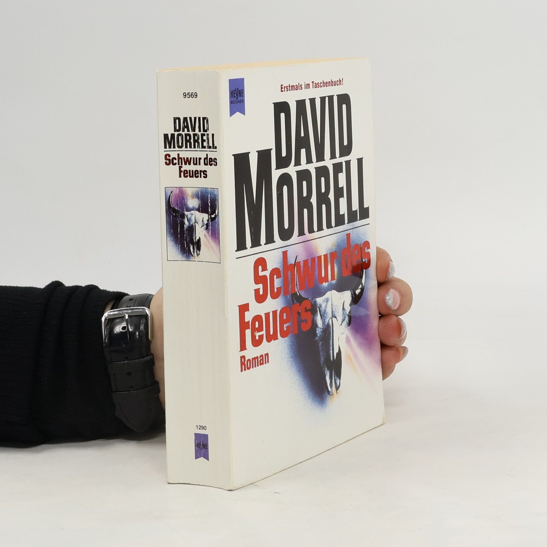David Morrell Schwur des Feuers